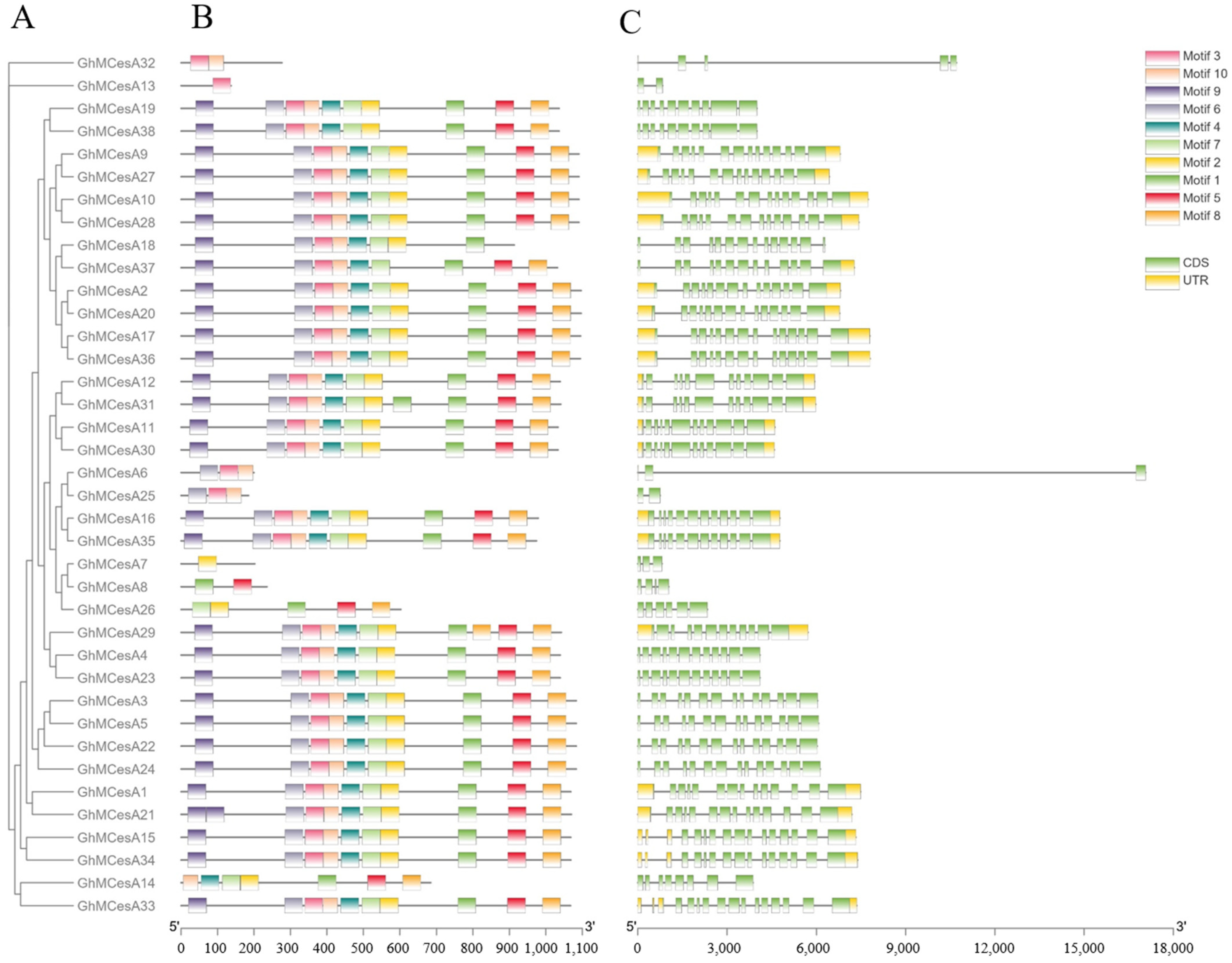 Genes 13 00292 g003 Genes 13 00292 g003