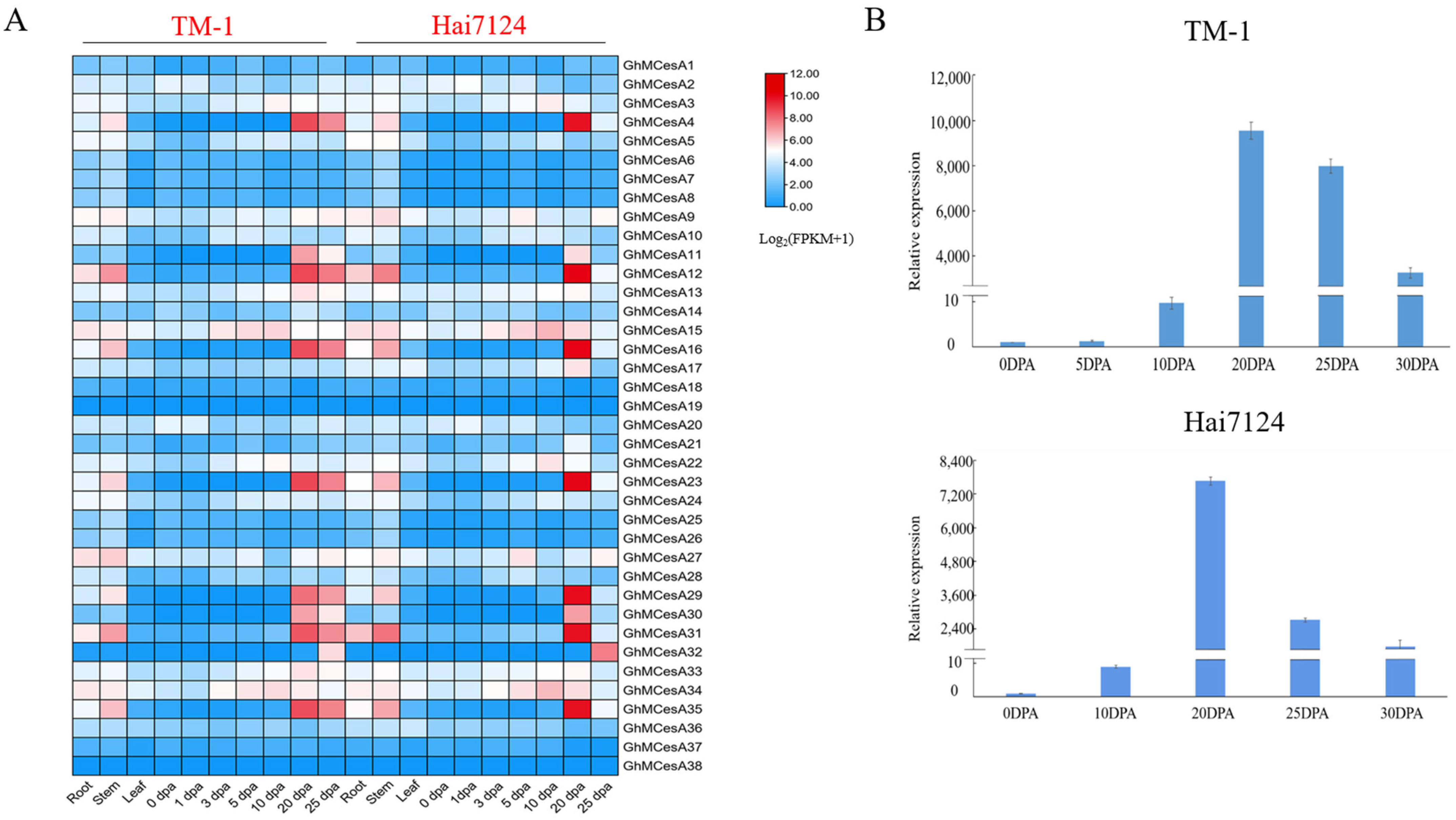 Genes 13 00292 g004 Genes 13 00292 g004