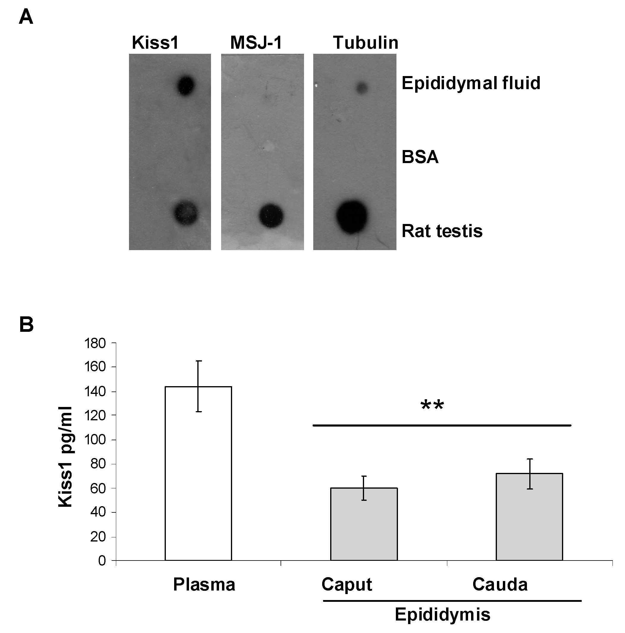 Genes 13 00295 g007 Genes 13 00295 g007