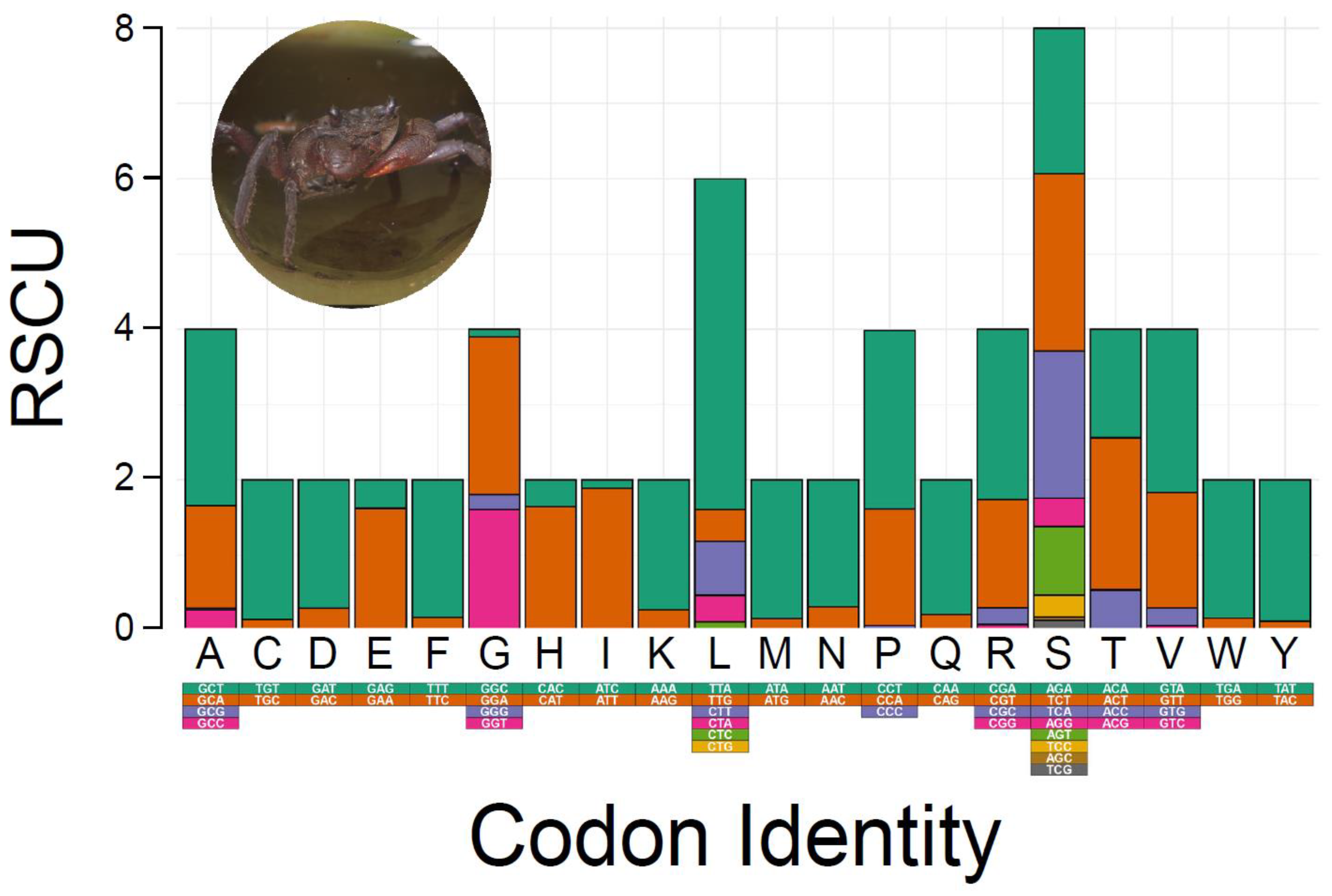 Genes 13 00299 g002 Genes 13 00299 g002