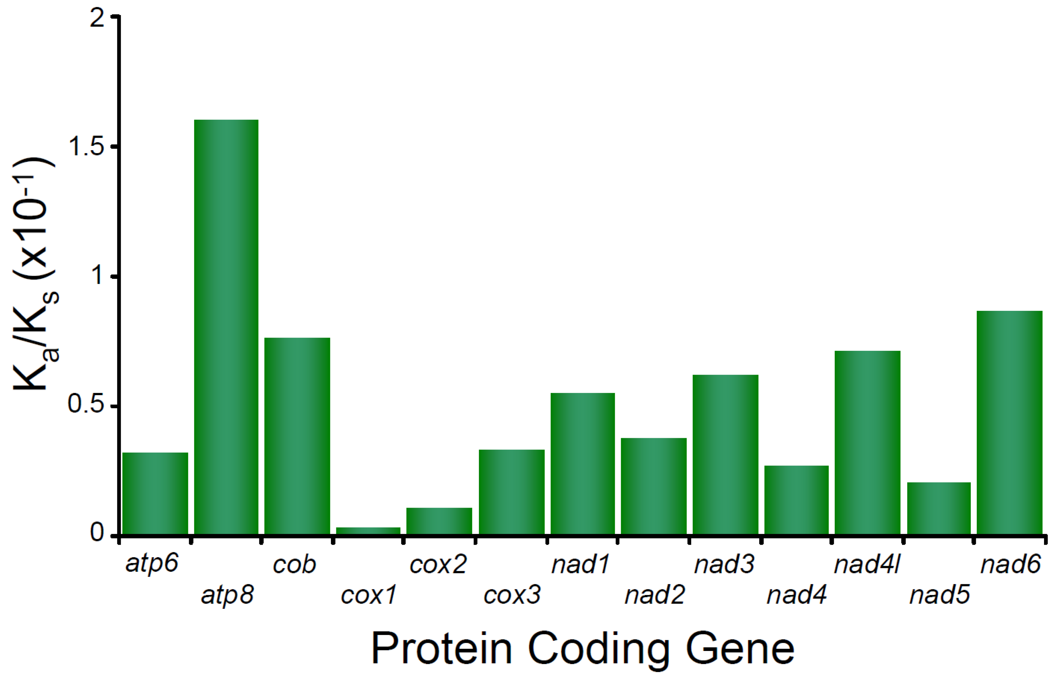 Genes 13 00299 g003 Genes 13 00299 g003