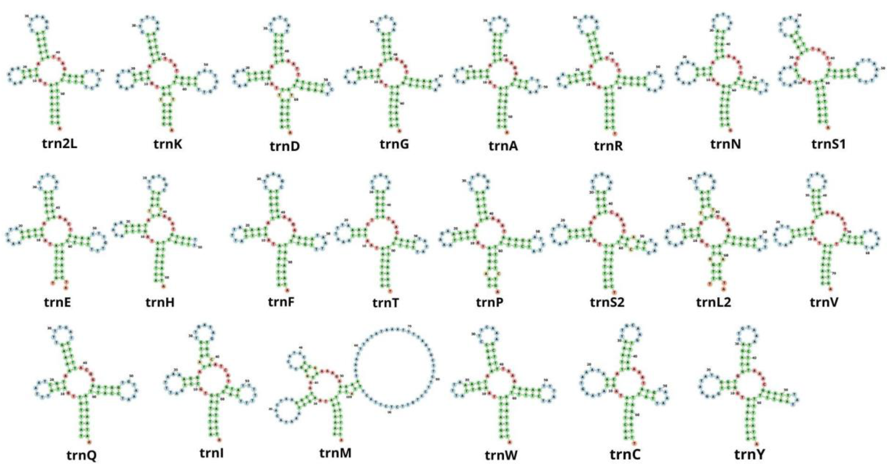 Genes 13 00299 g004 Genes 13 00299 g004