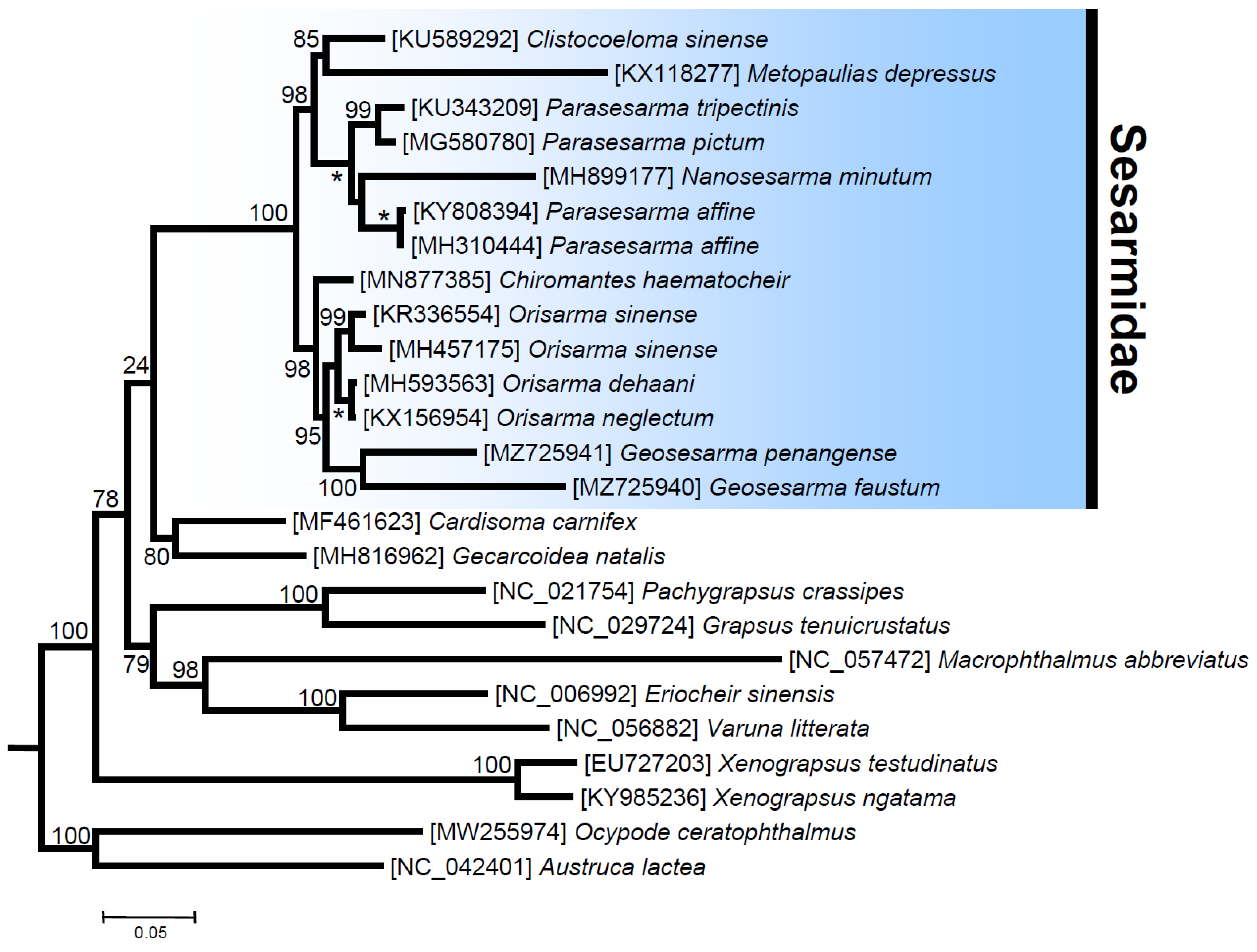 Genes 13 00299 g005 Genes 13 00299 g005