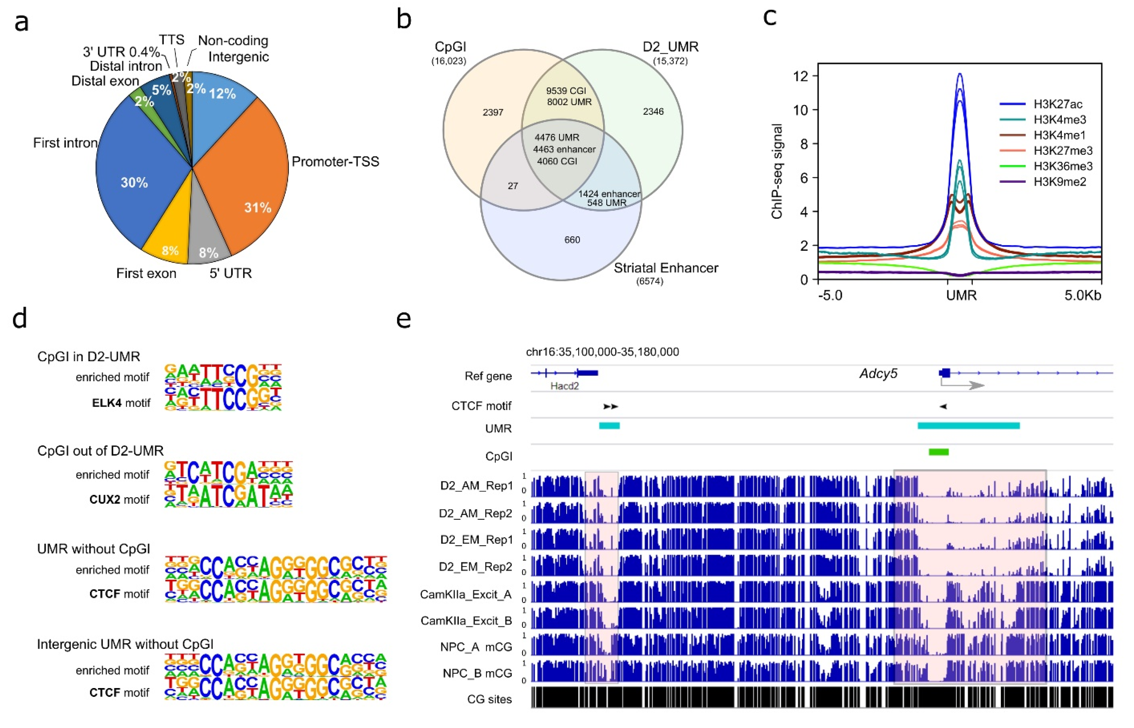 Genes 13 00306 g003