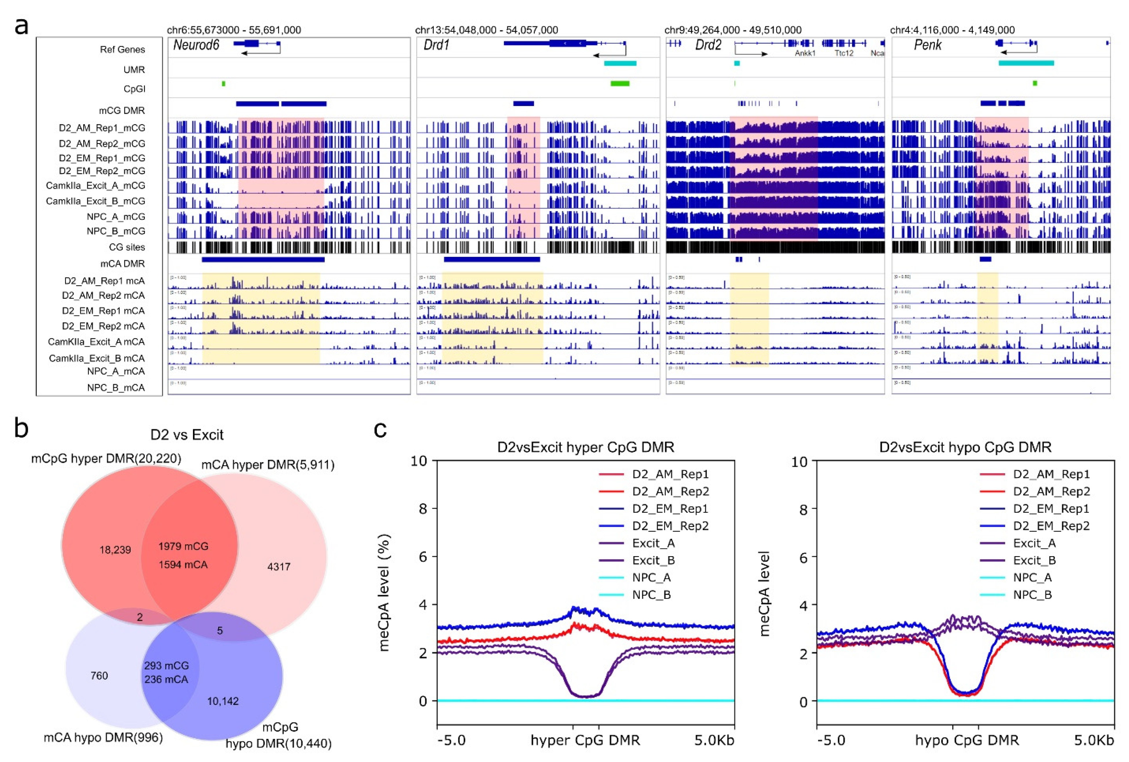 Genes 13 00306 g005