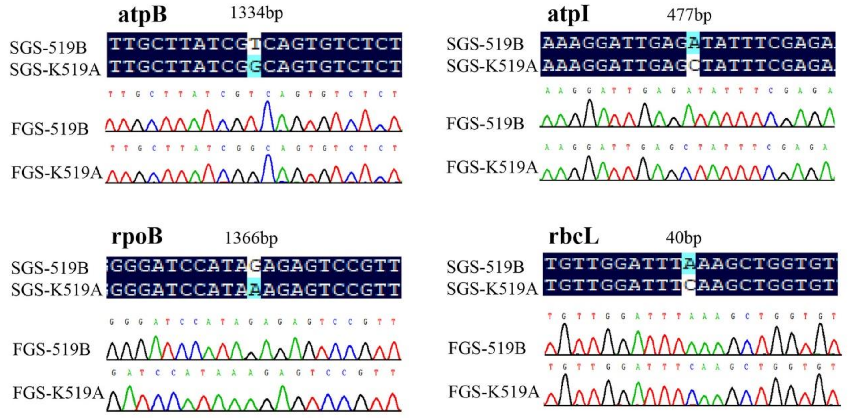 Genes 13 00310 g005