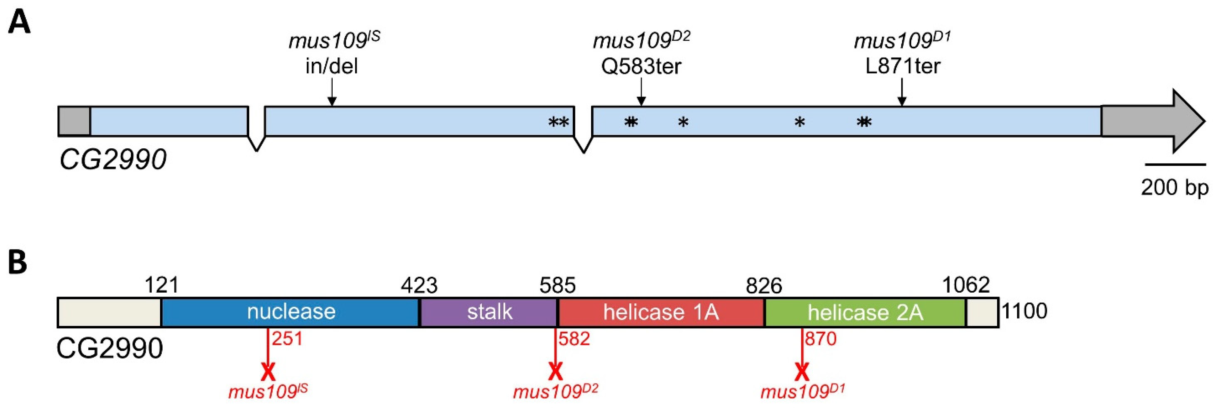 Genes 13 00312 g003