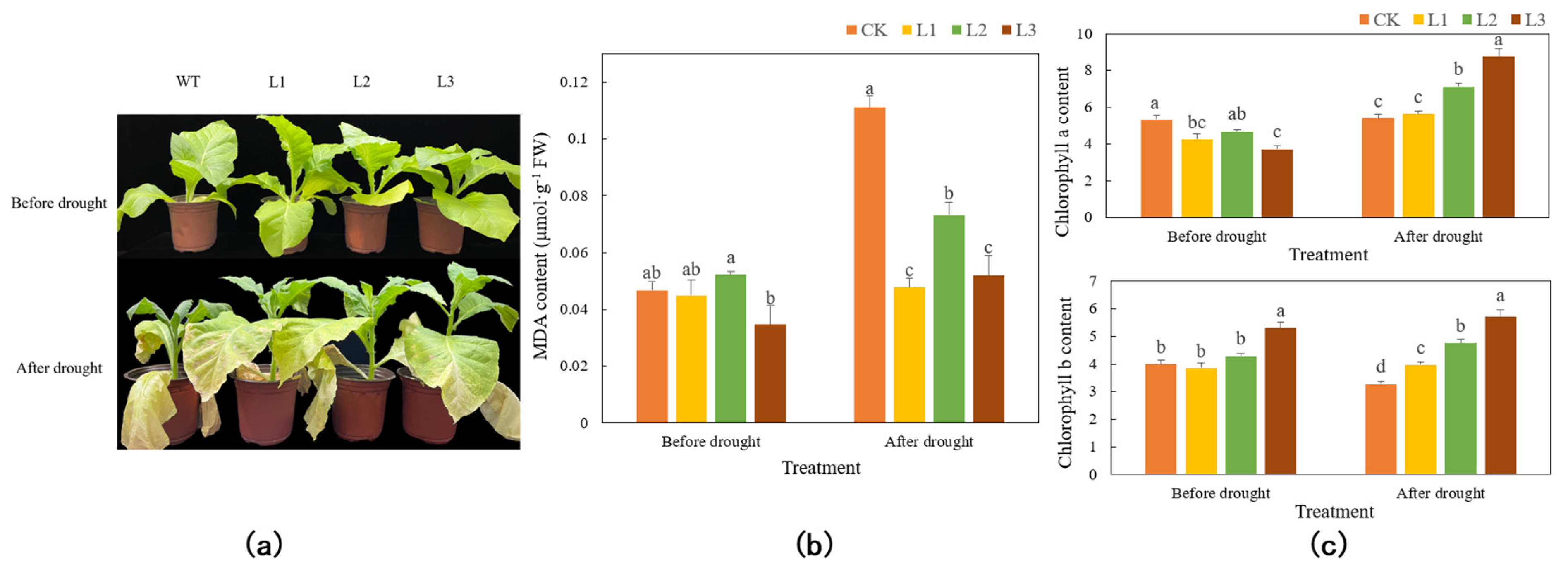 Genes 13 00329 g006a
