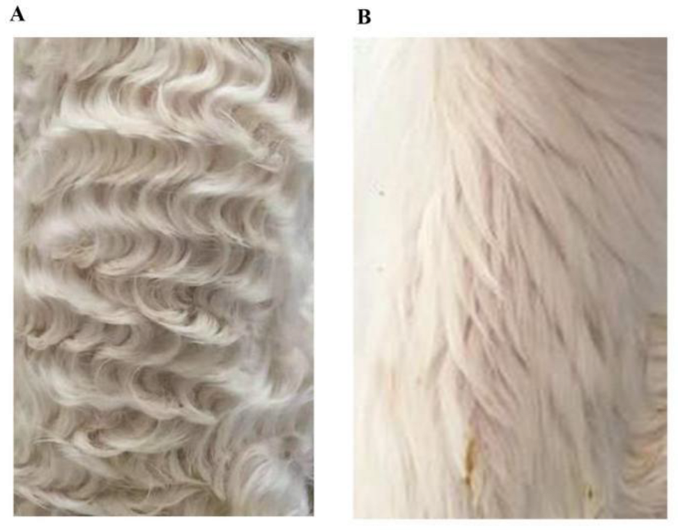 Genes 13 00342 g001 Genes 13 00342 g001