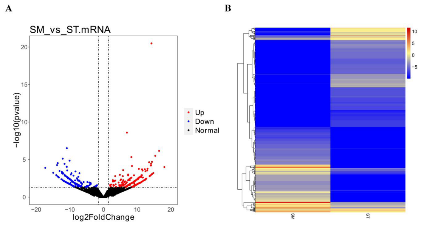 Genes 13 00342 g004 Genes 13 00342 g004