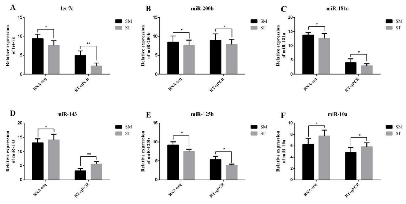 Genes 13 00342 g007 Genes 13 00342 g007