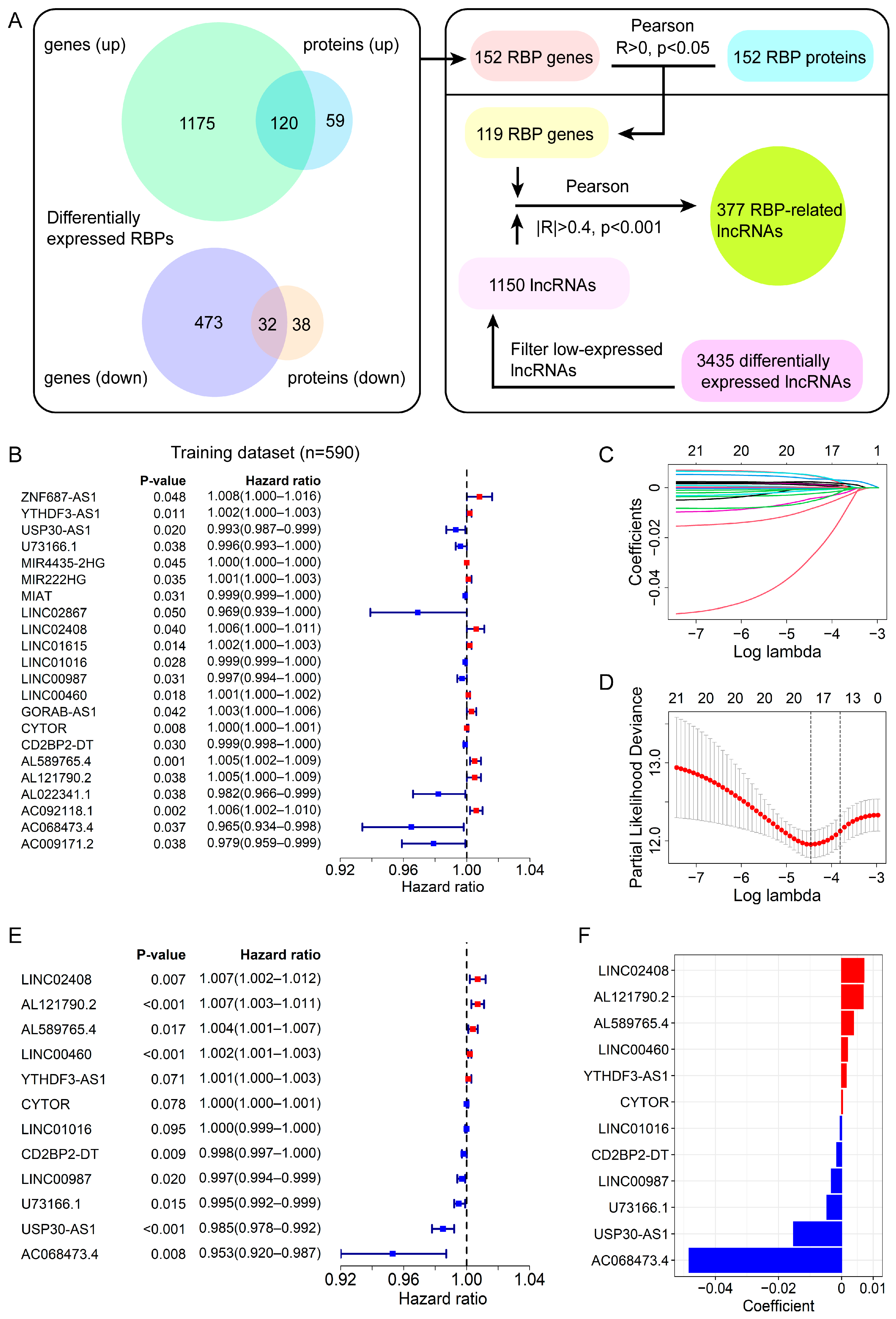 Genes 13 00345 g001
