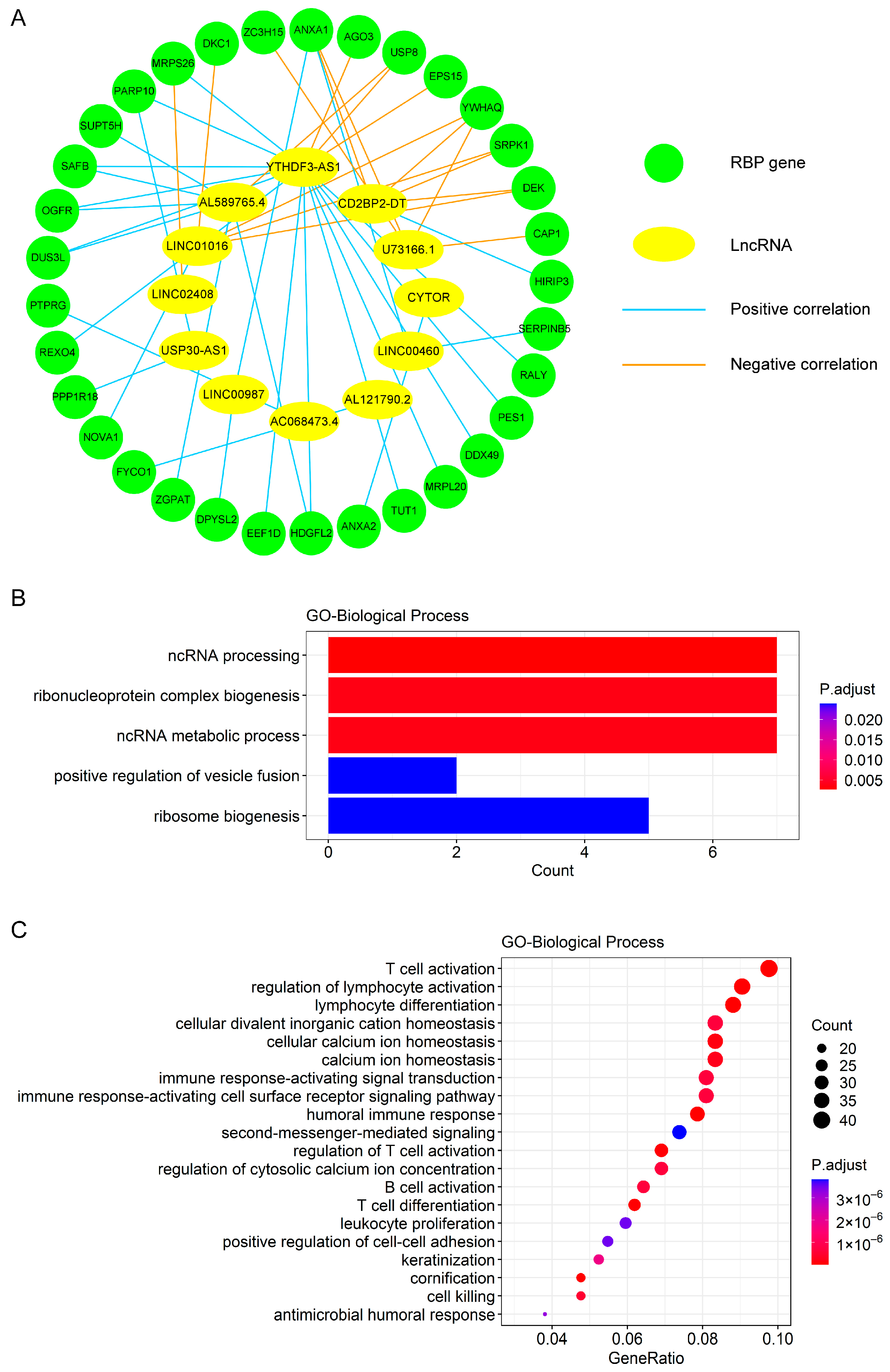 Genes 13 00345 g005