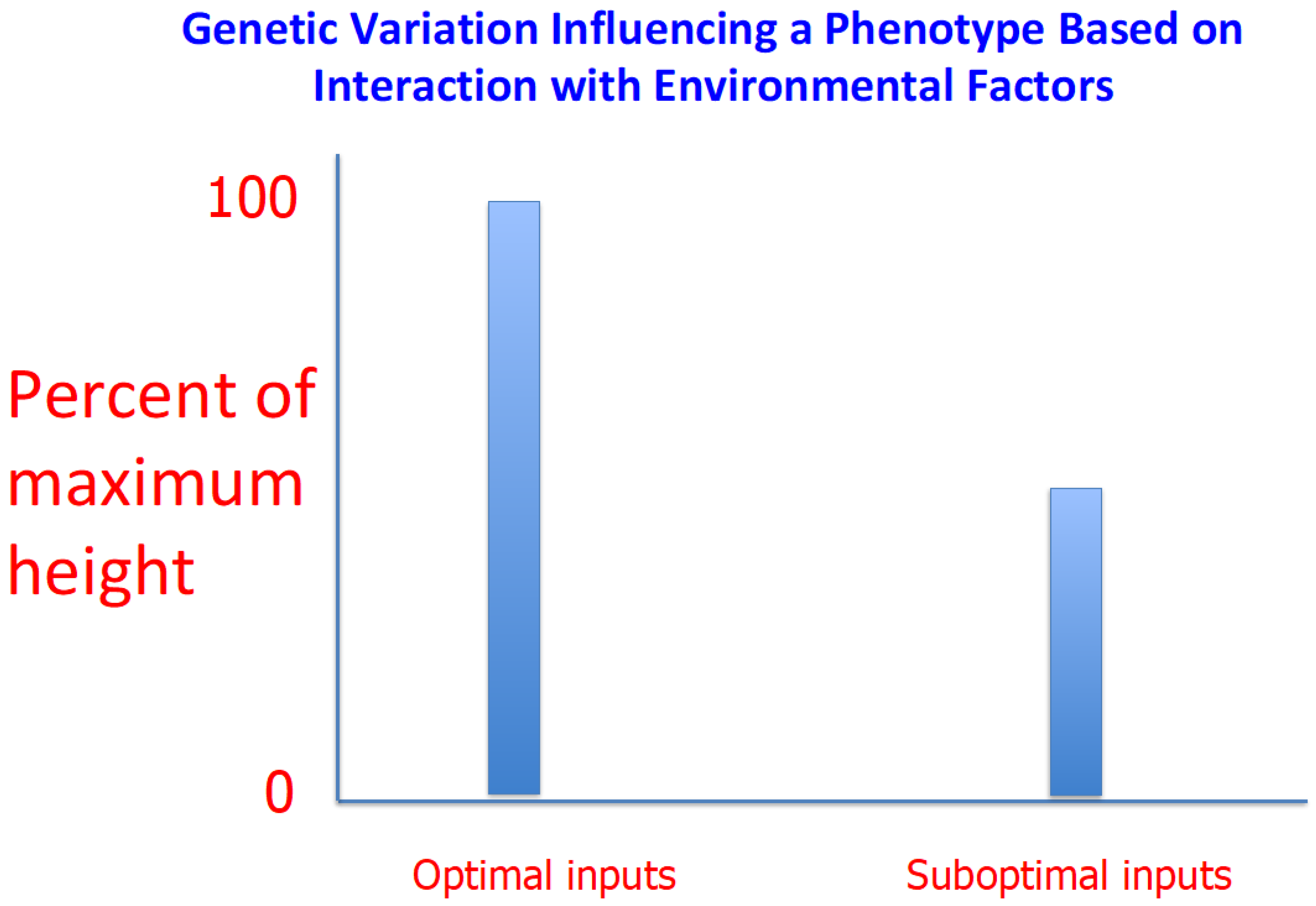 Genes 13 00346 g001