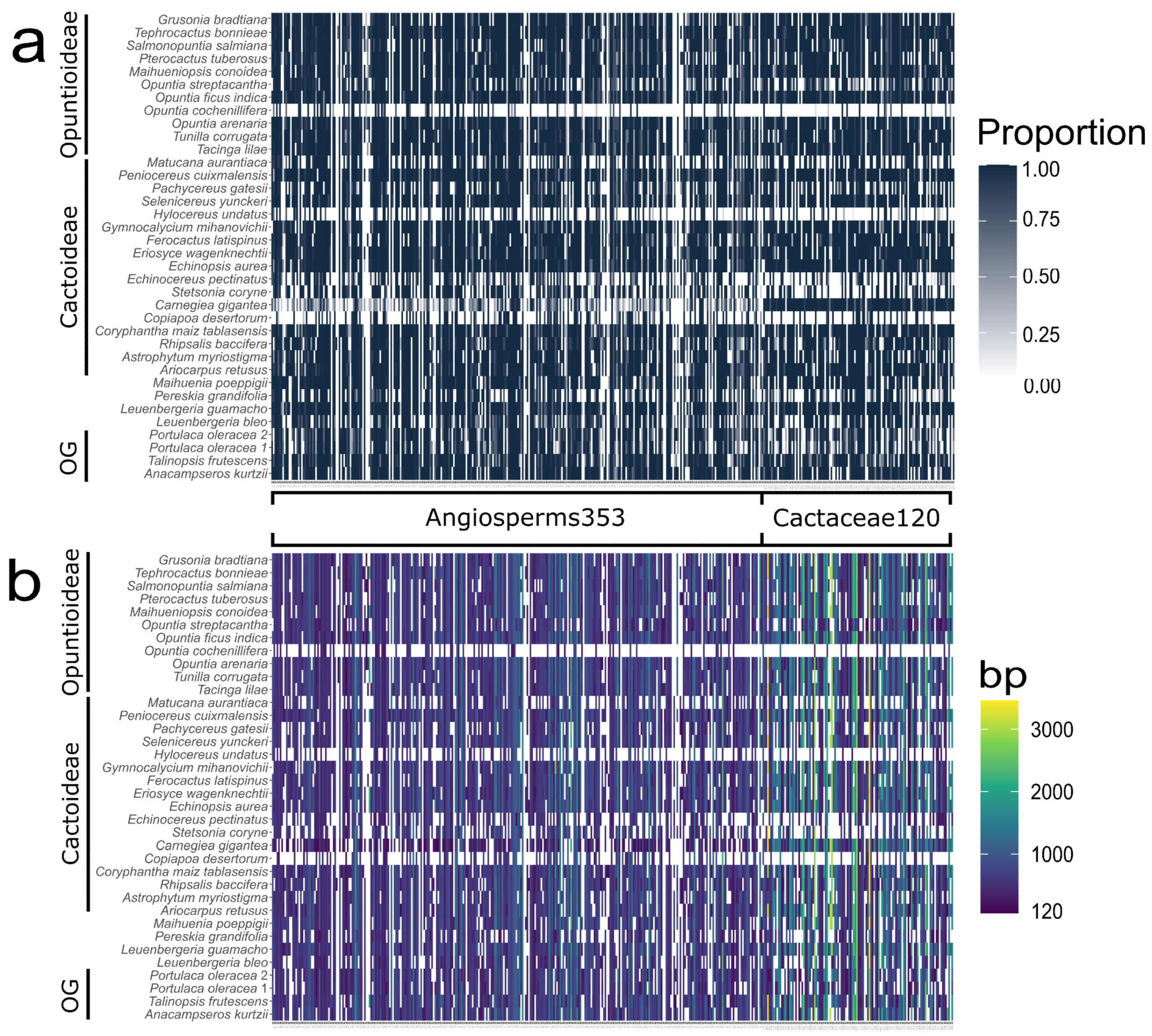 Genes 13 00350 g002
