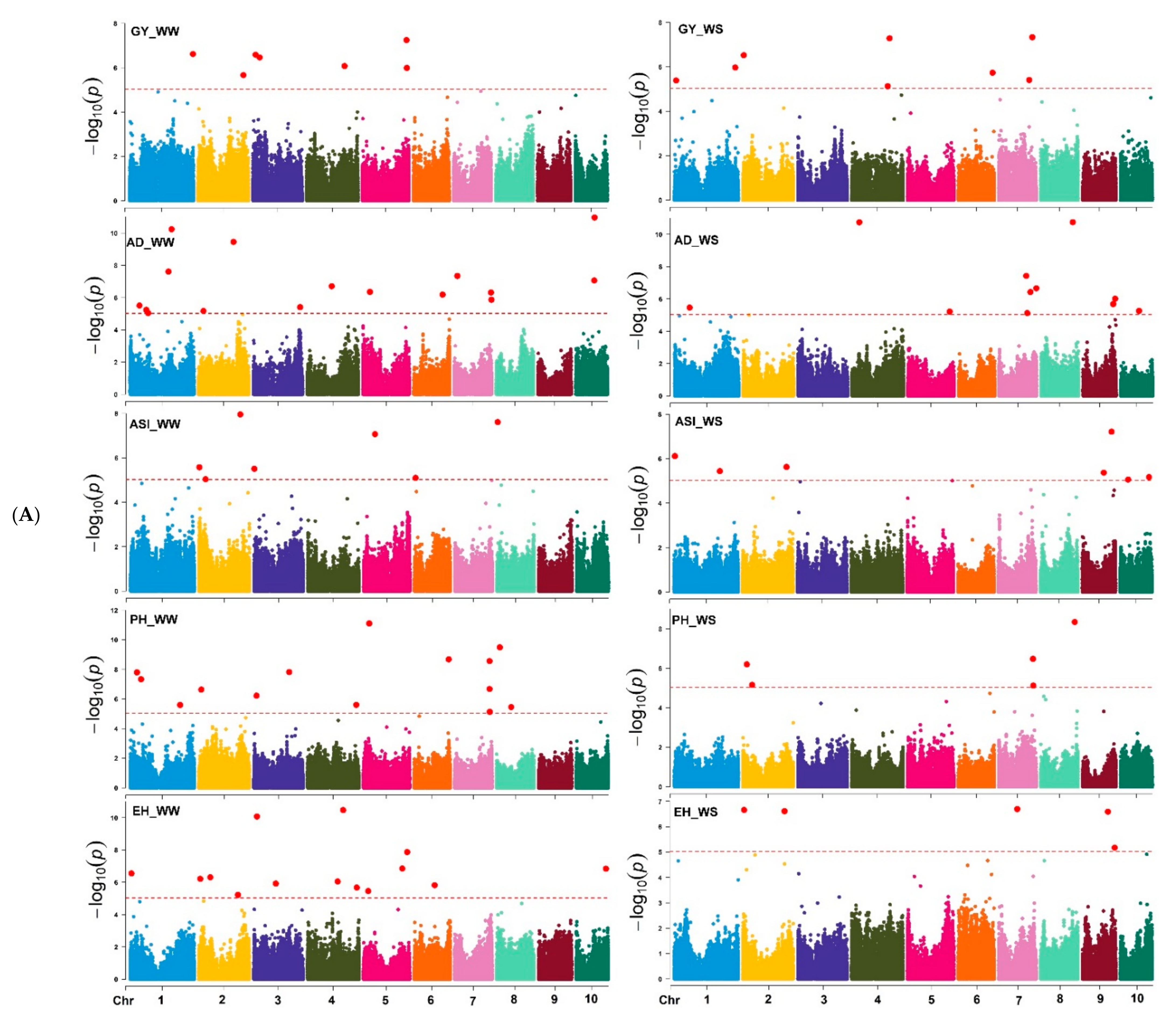 Genes 13 00351 g006a