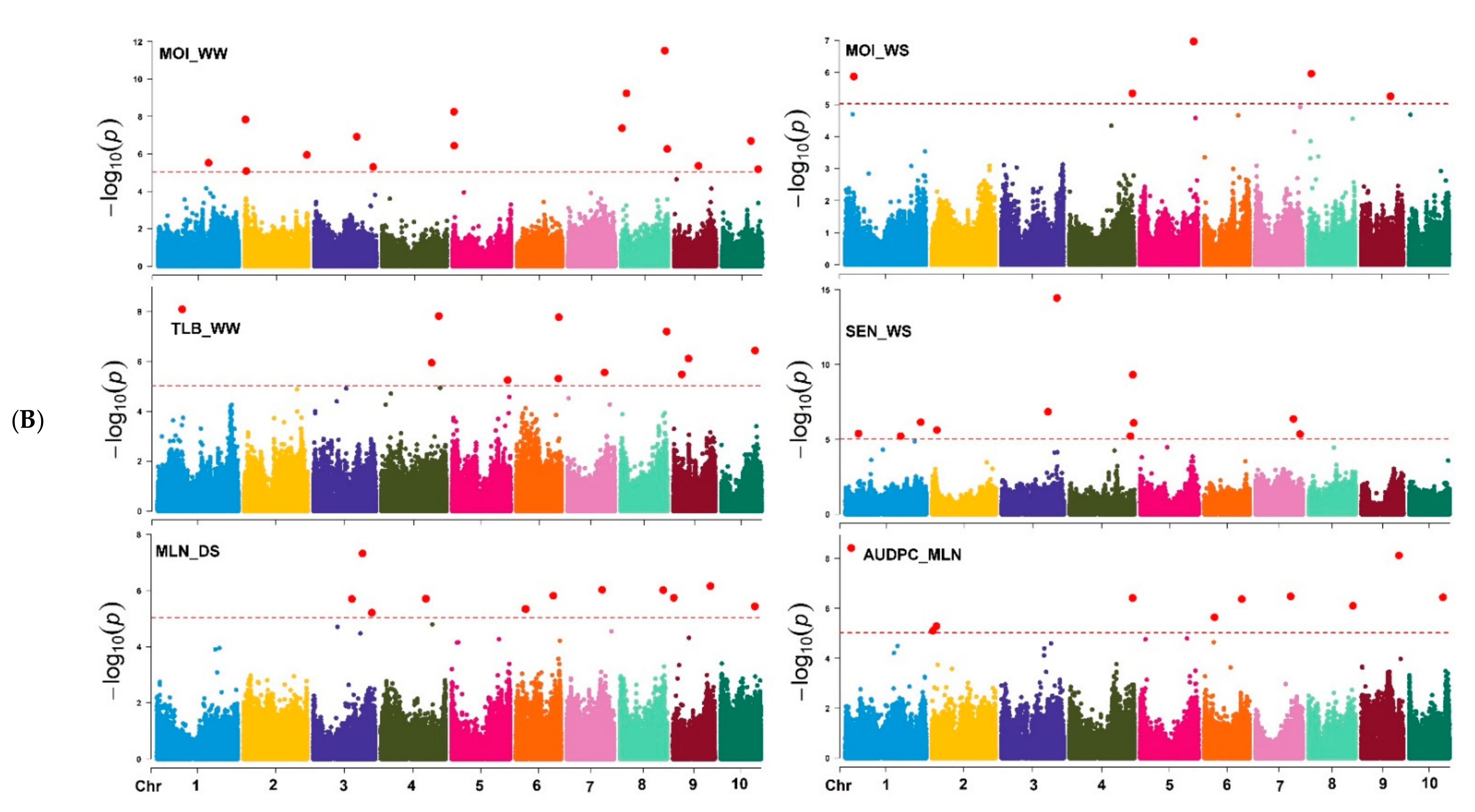 Genes 13 00351 g006b