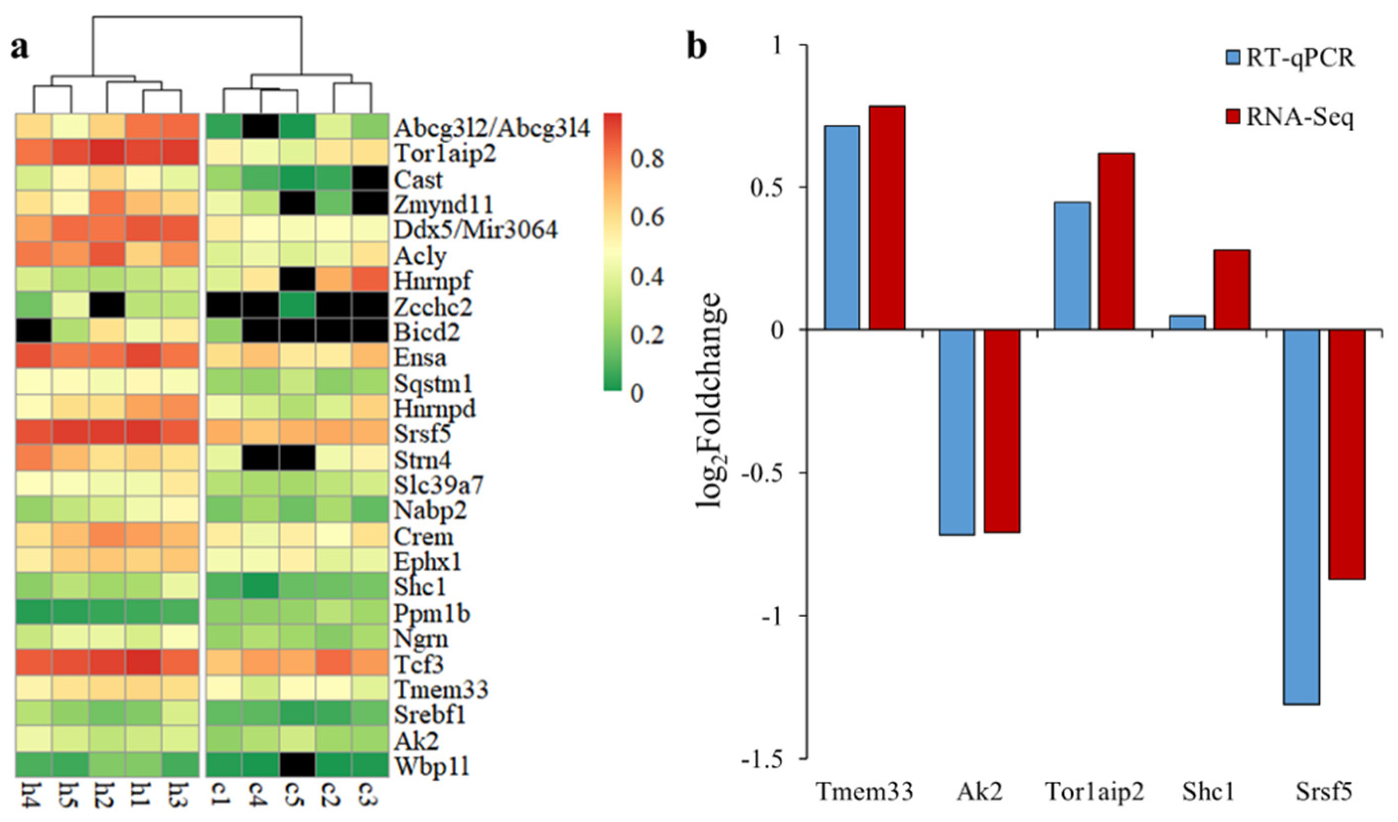 Genes 13 00358 g004