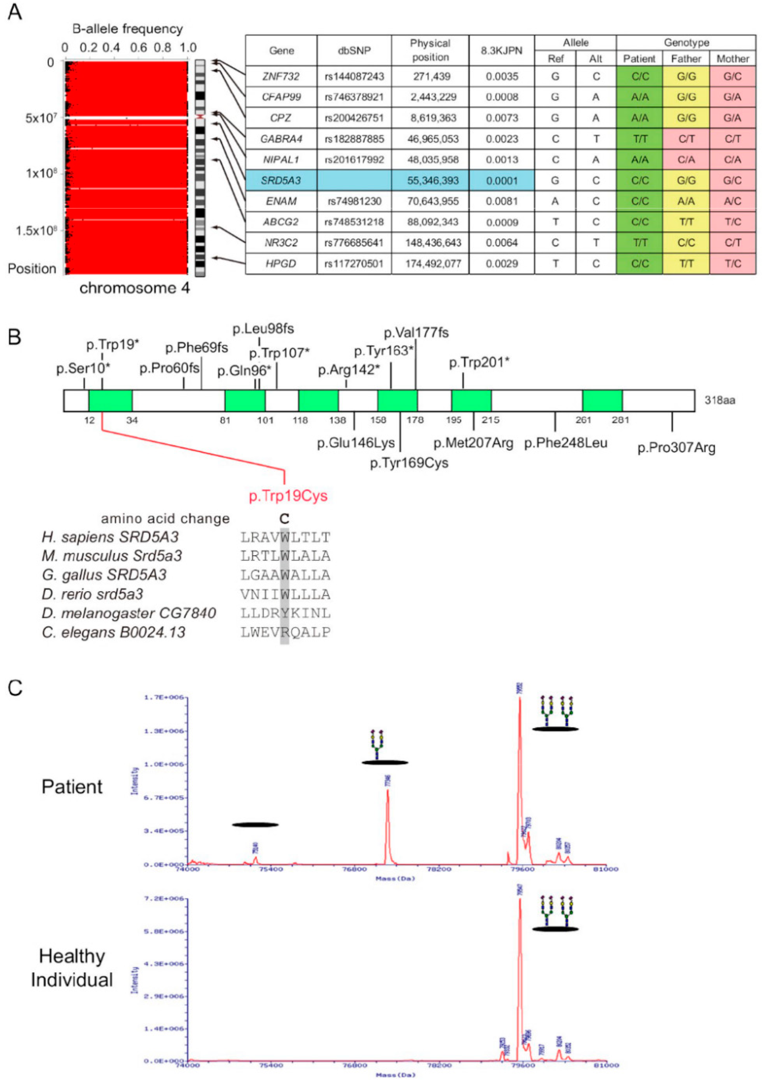 Genes 13 00359 g002 Genes 13 00359 g002