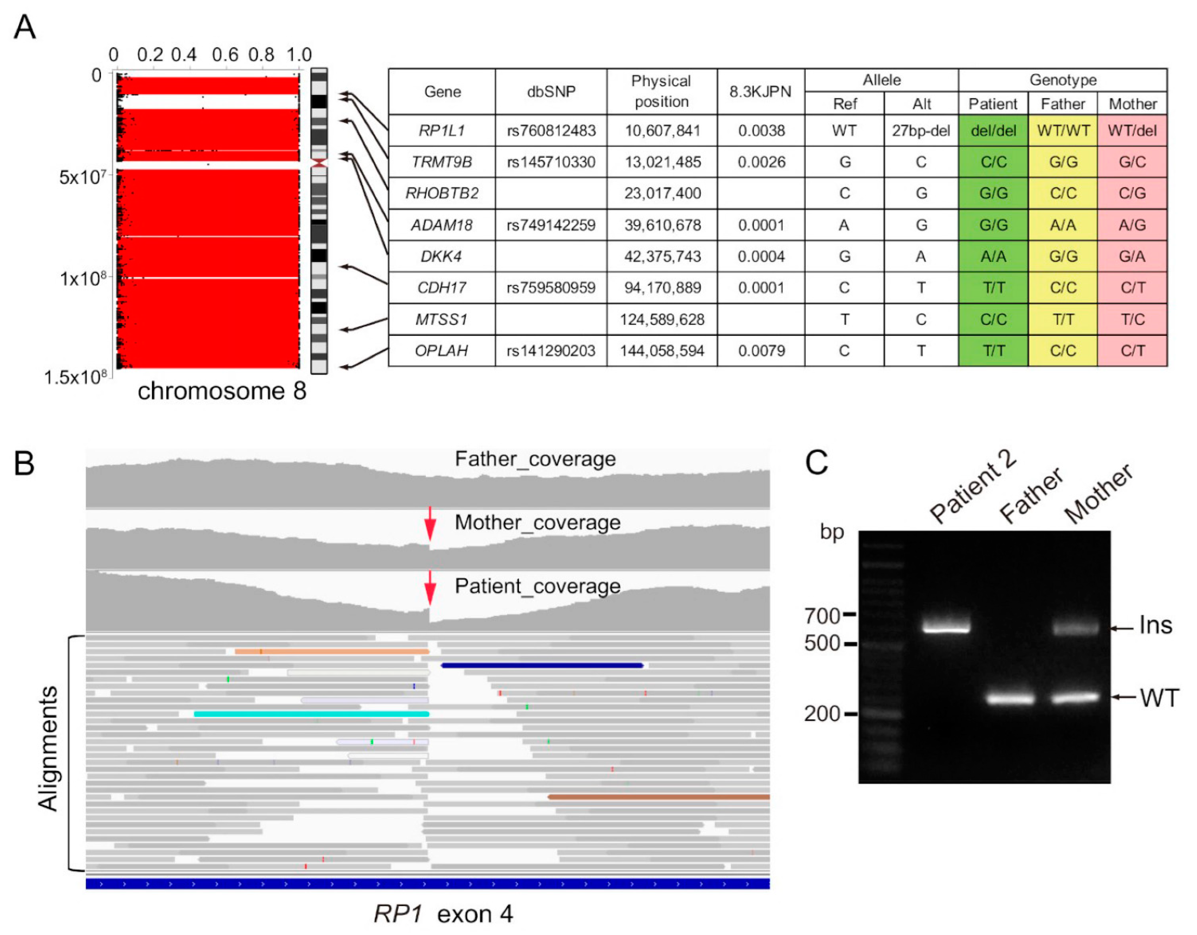 Genes 13 00359 g004 Genes 13 00359 g004