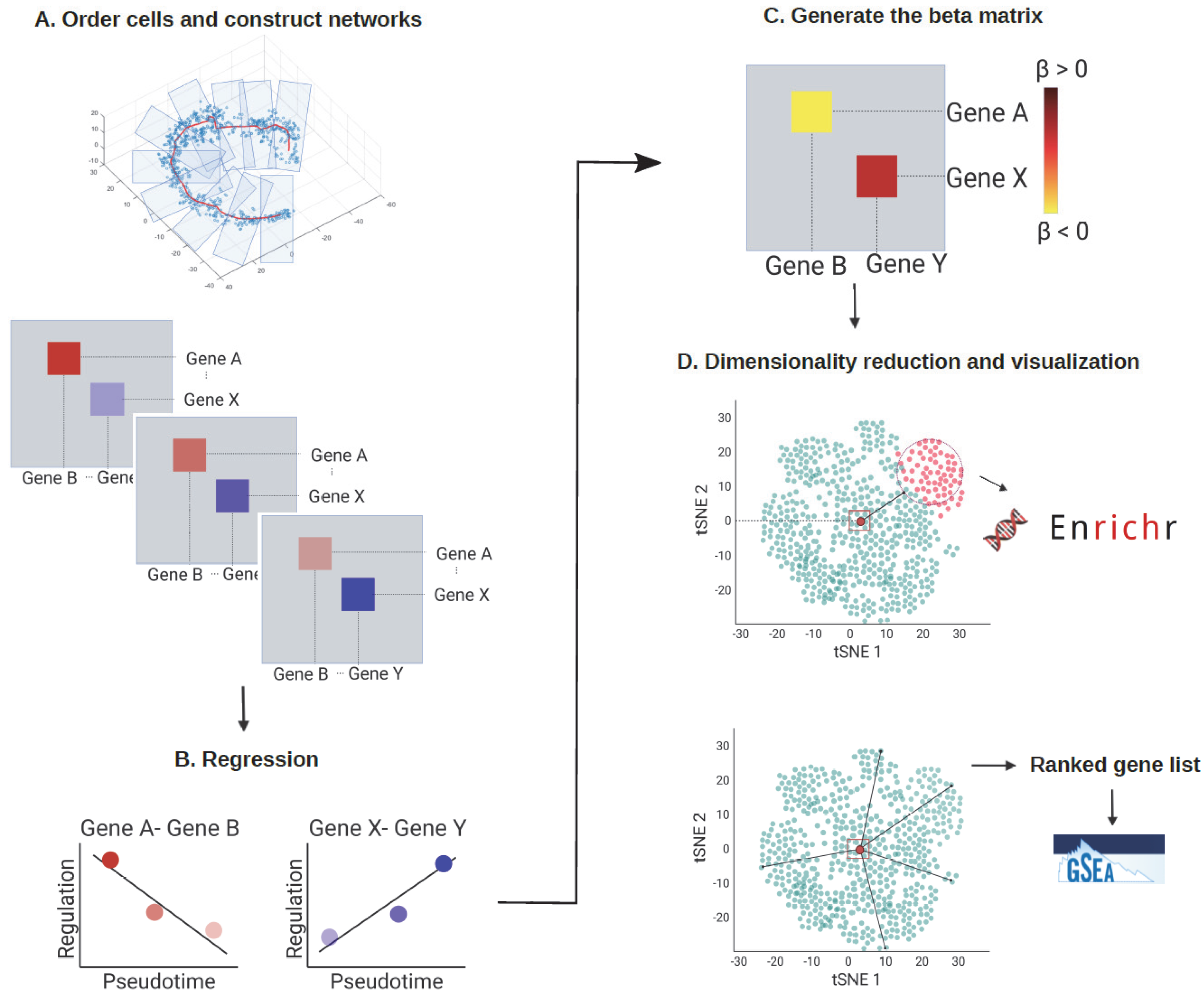 Genes 13 00371 g001 Genes 13 00371 g001