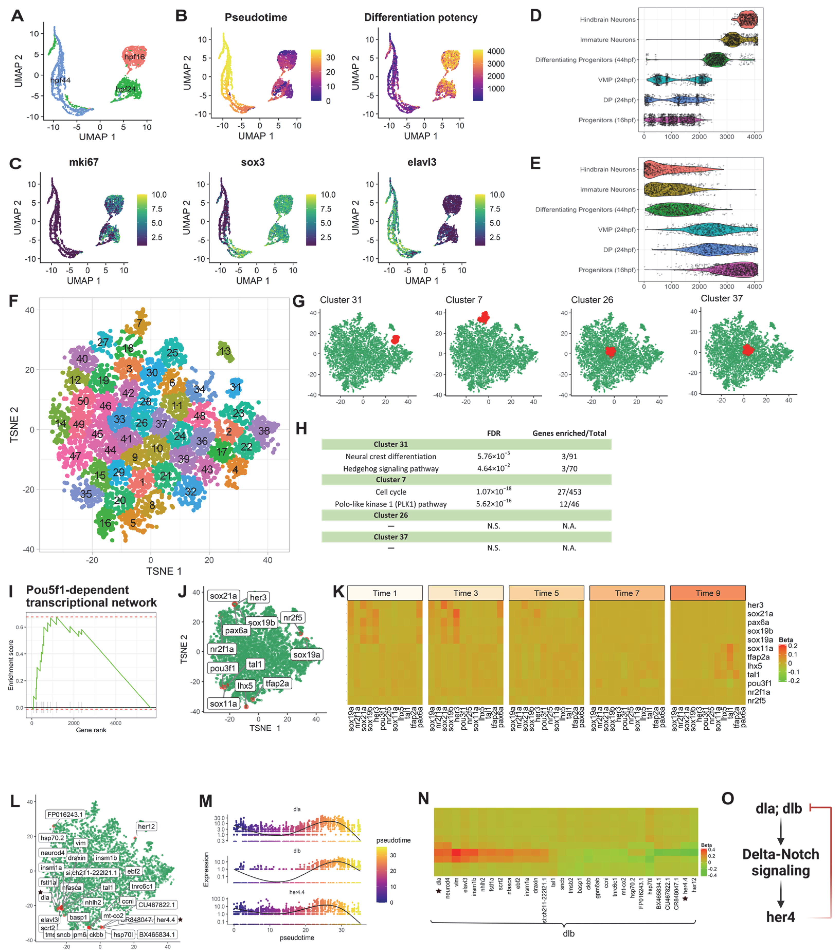 Genes 13 00371 g002 Genes 13 00371 g002