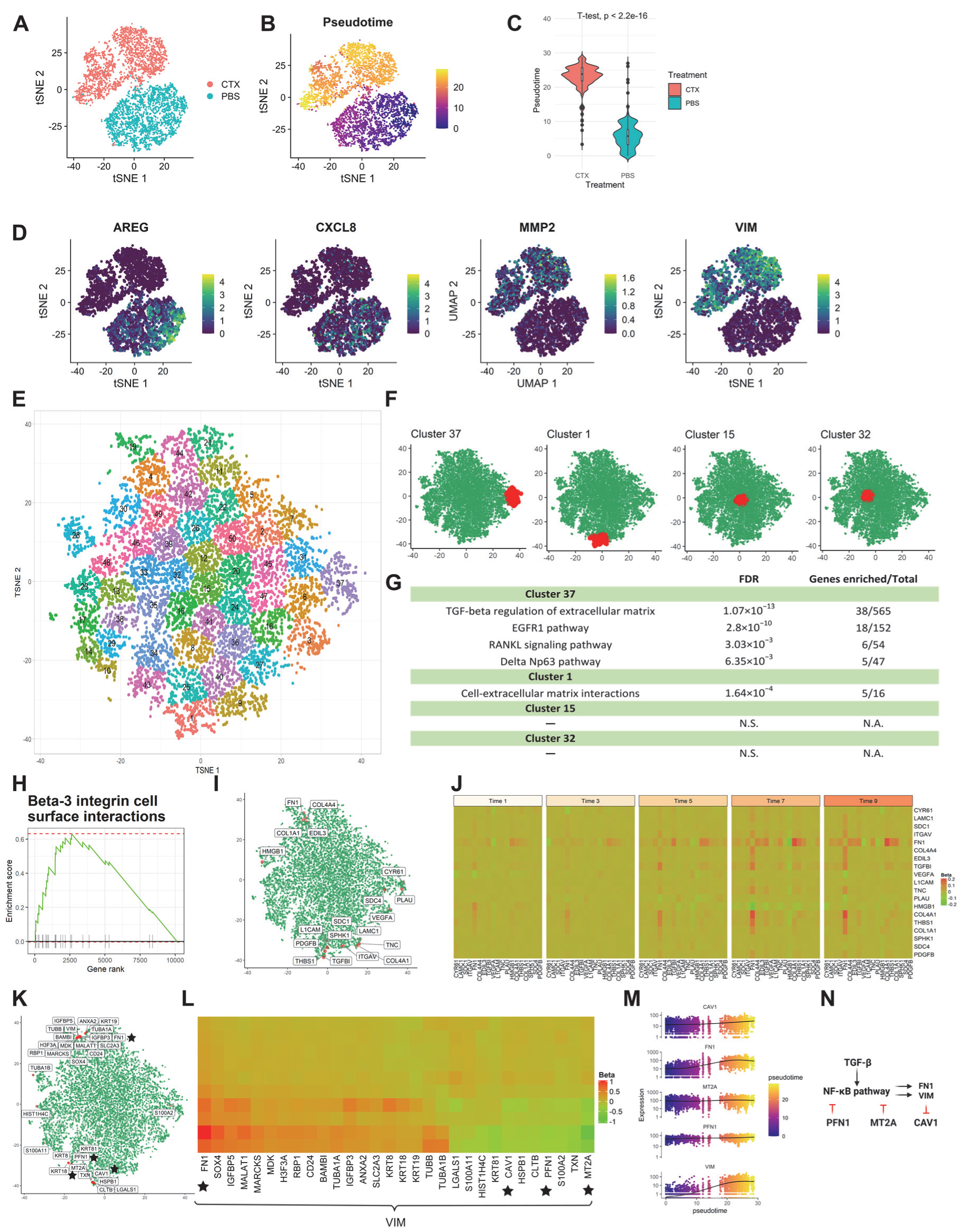Genes 13 00371 g003 Genes 13 00371 g003