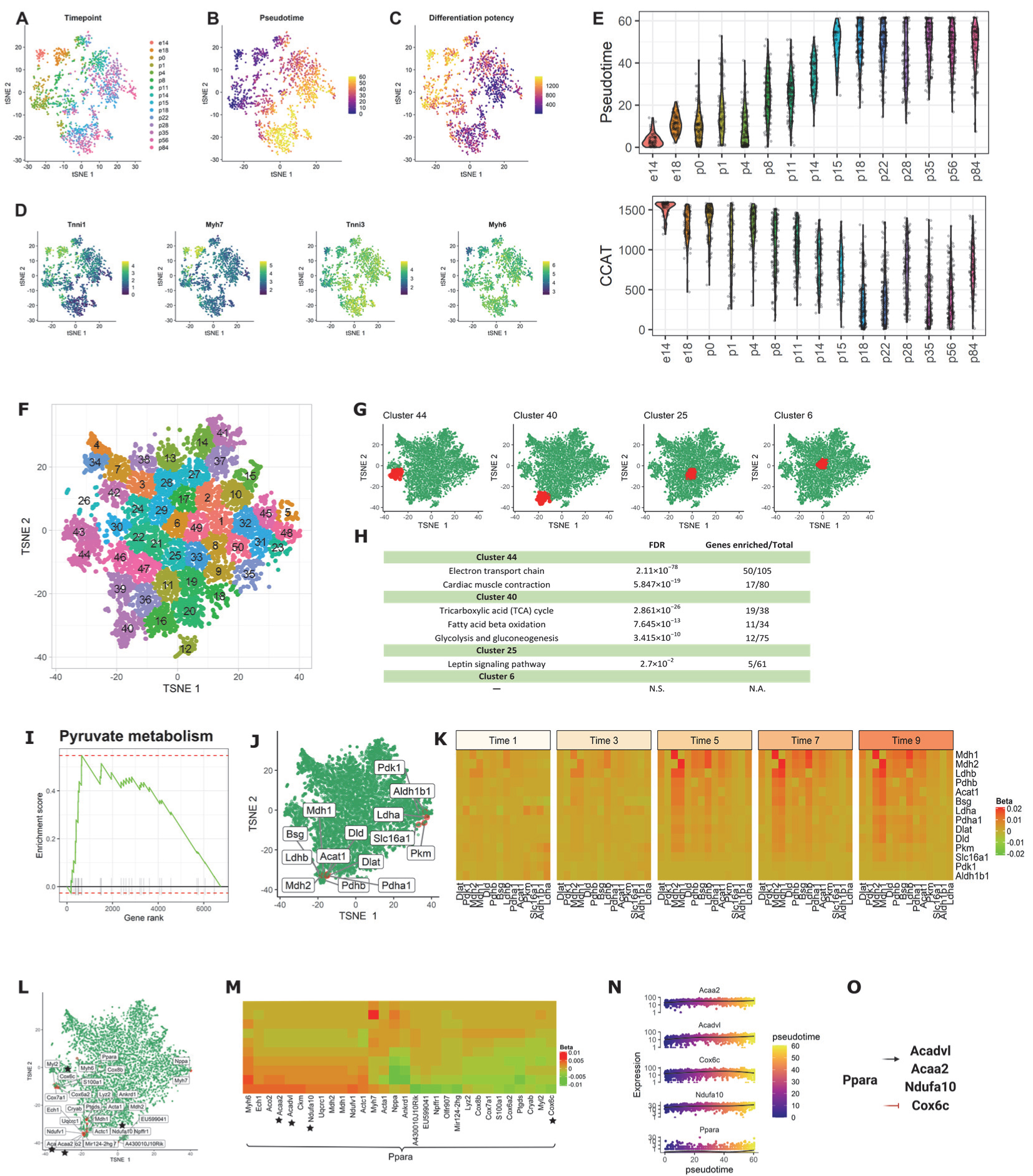 Genes 13 00371 g004 Genes 13 00371 g004