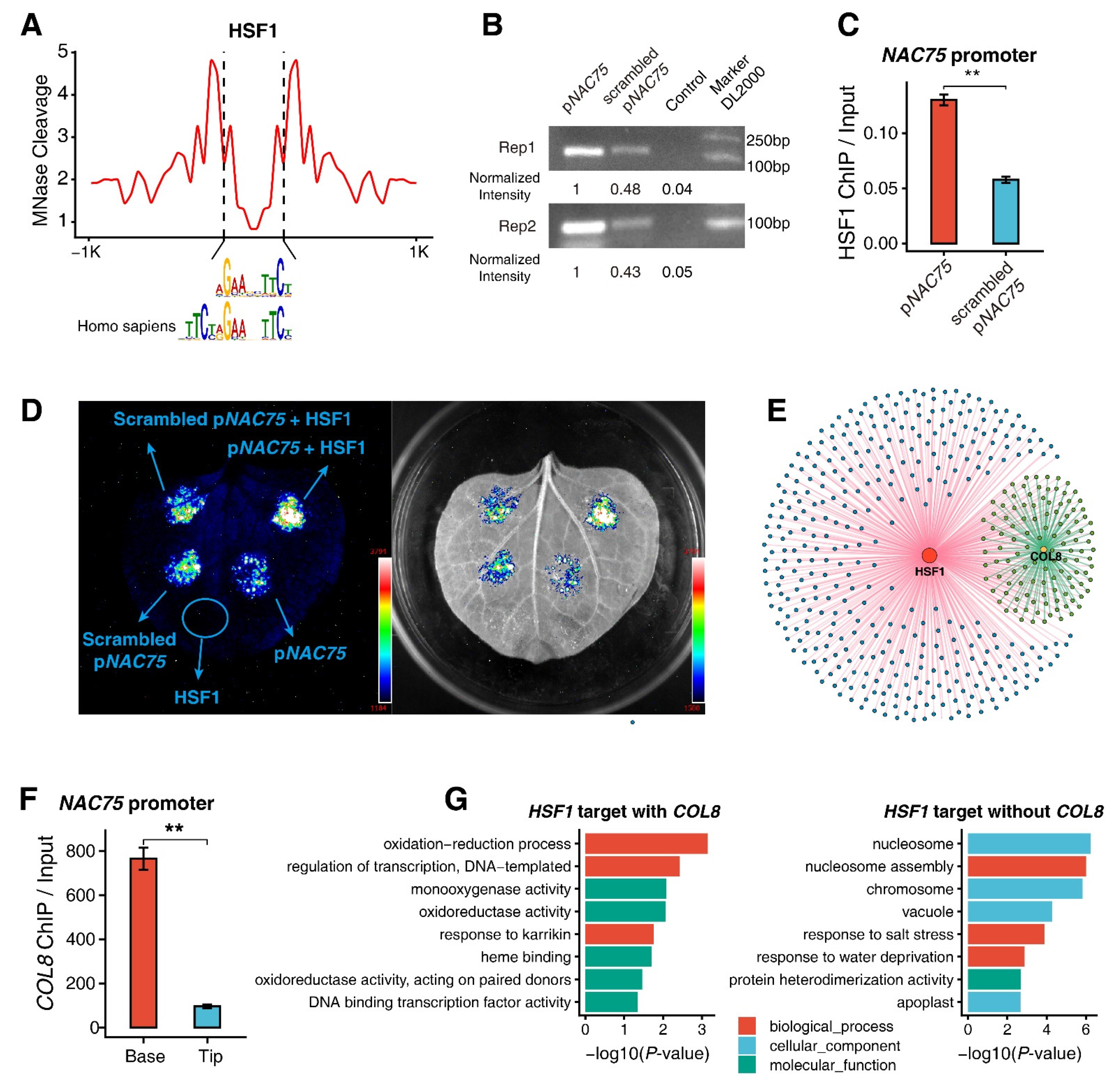 Genes 13 00374 g006