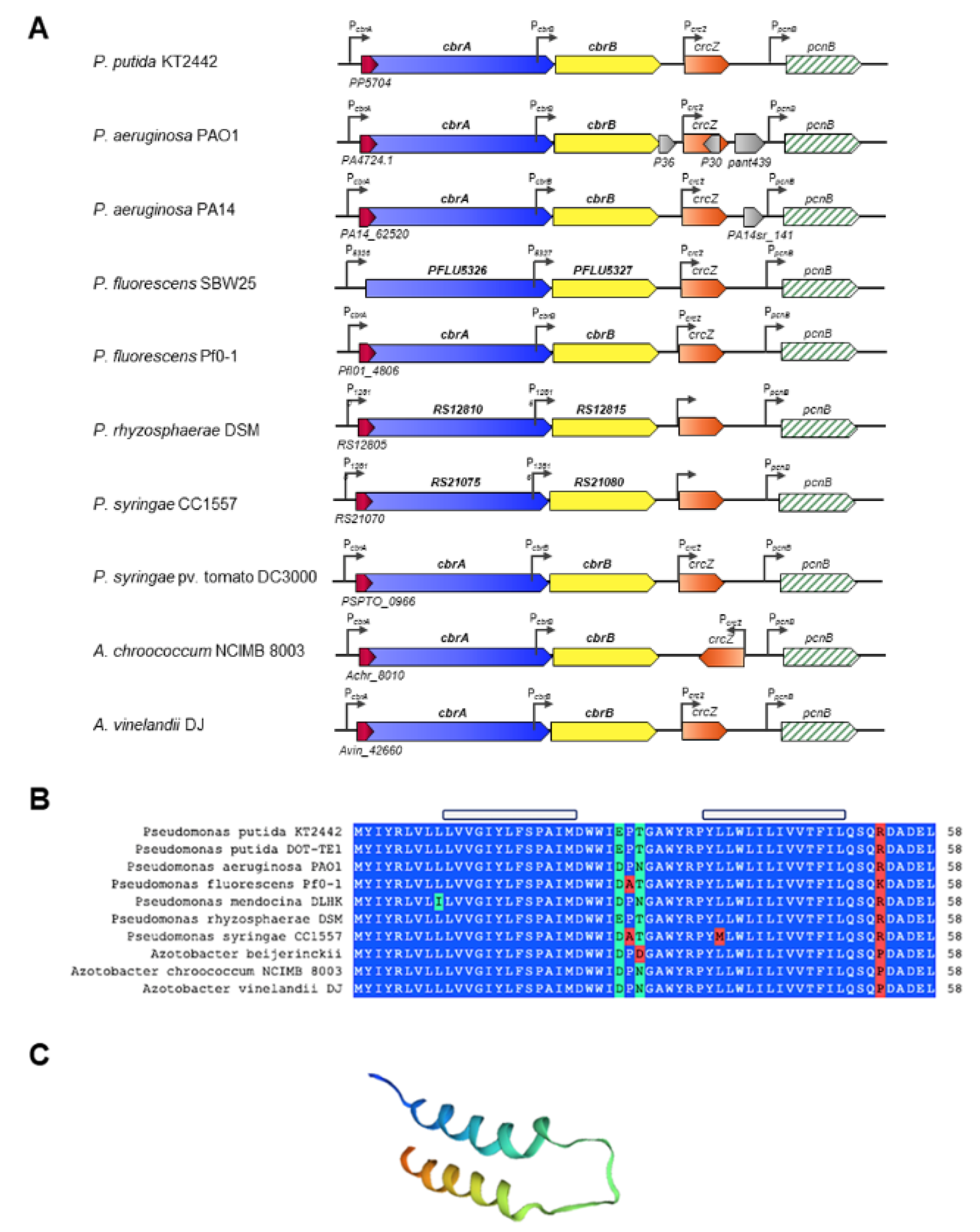 Genes 13 00375 g002