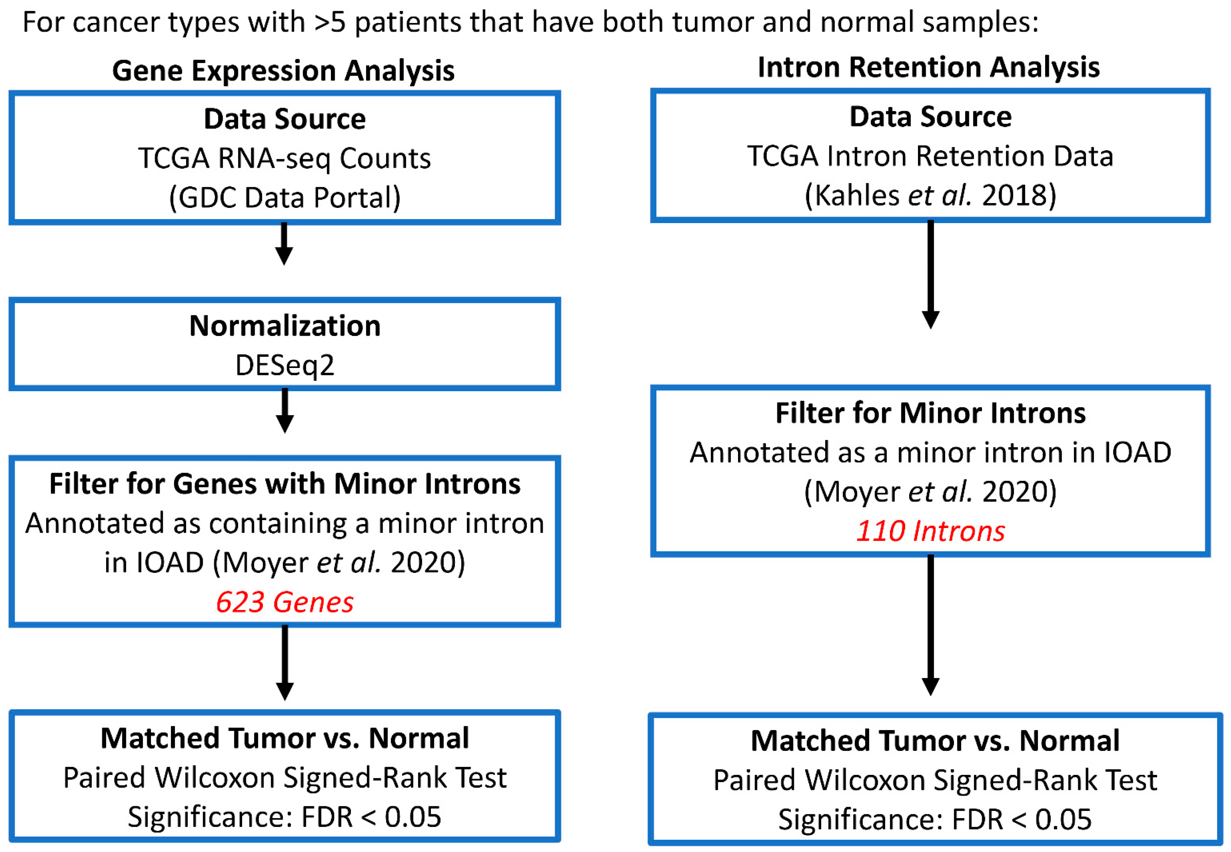 Genes 13 00387 g001