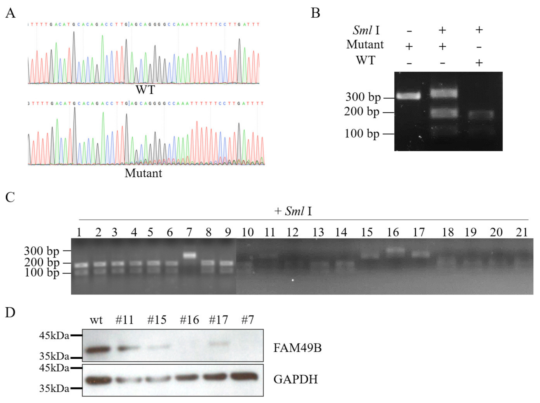 Genes 13 00388 g002