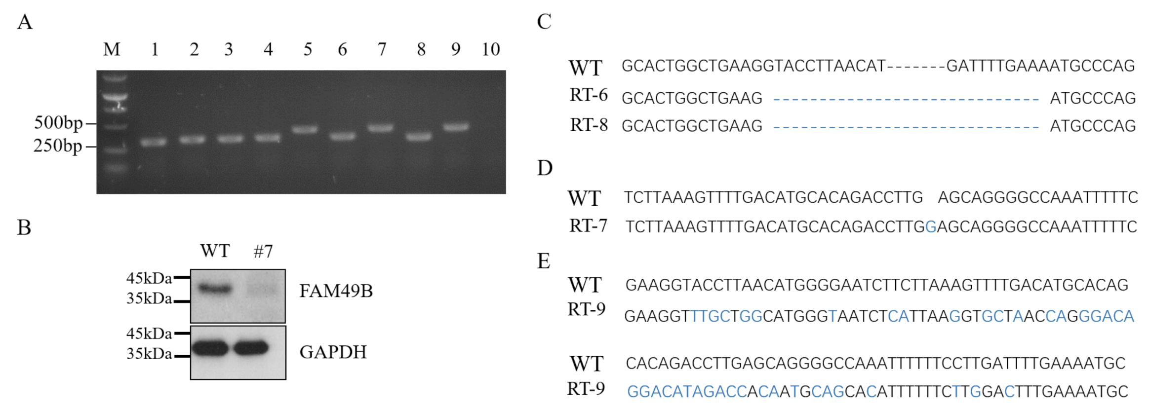 Genes 13 00388 g006