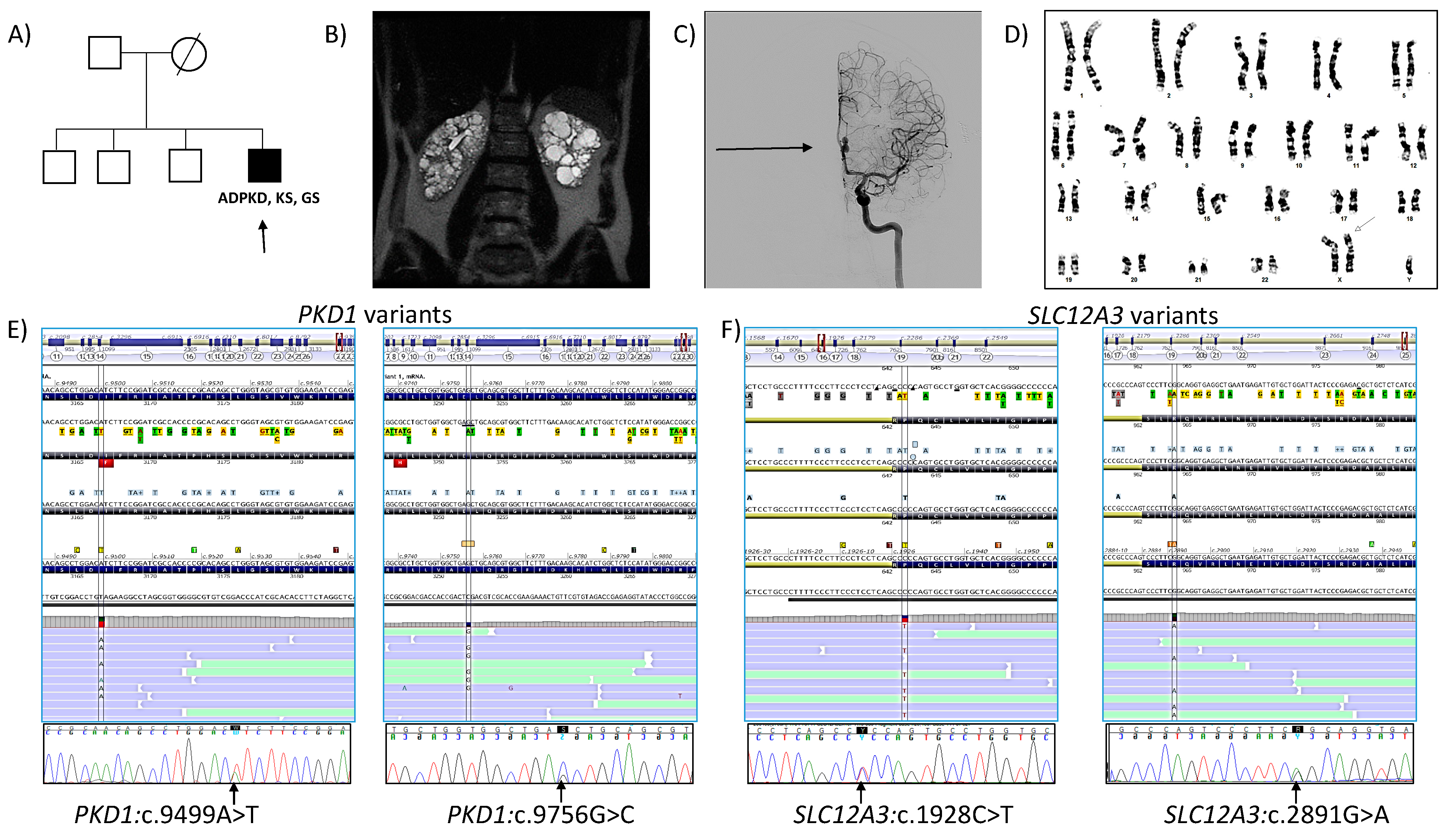 Genes 13 00394 g001