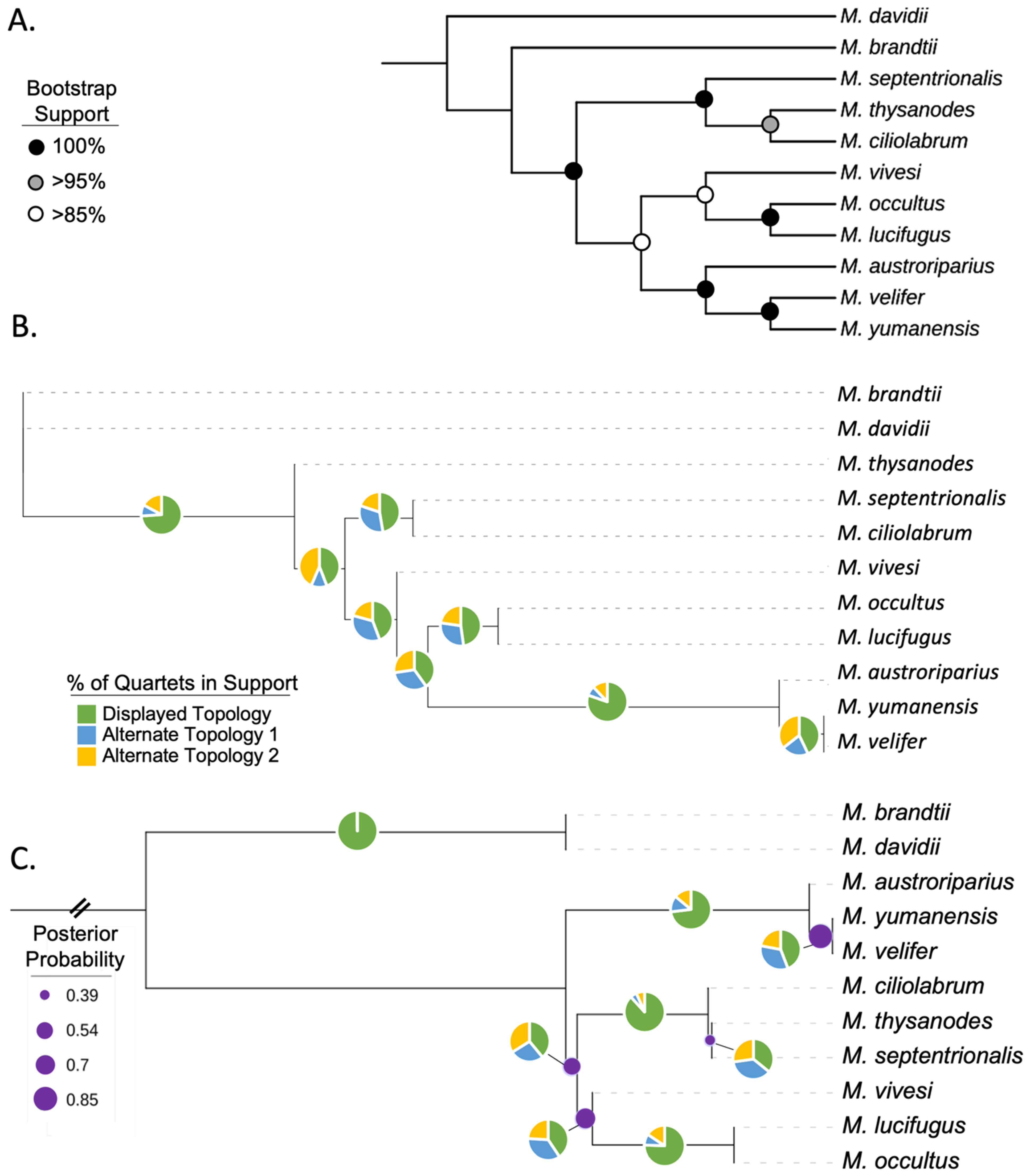 Genes 13 00399 g002