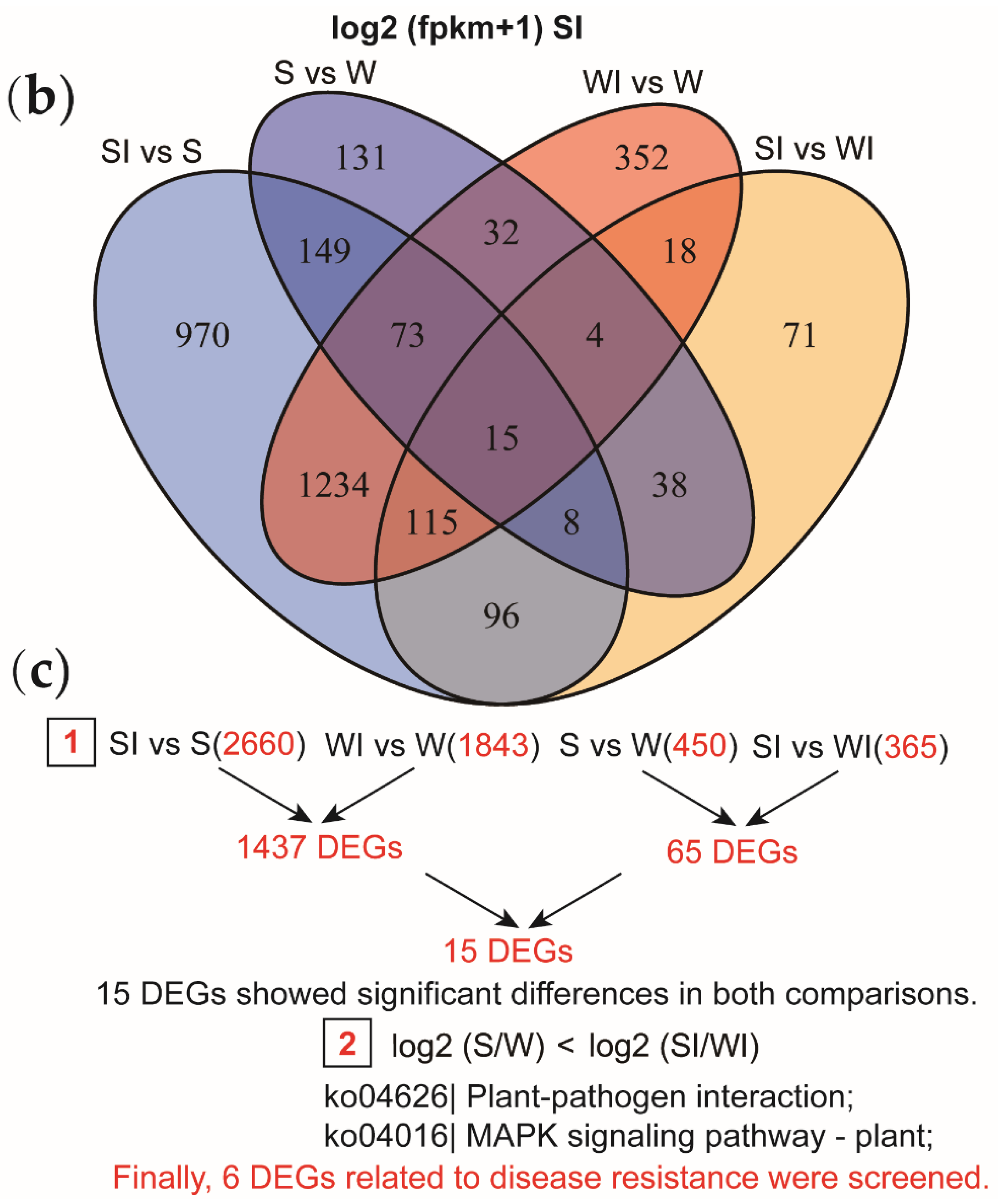 Genes 13 00405 g004b