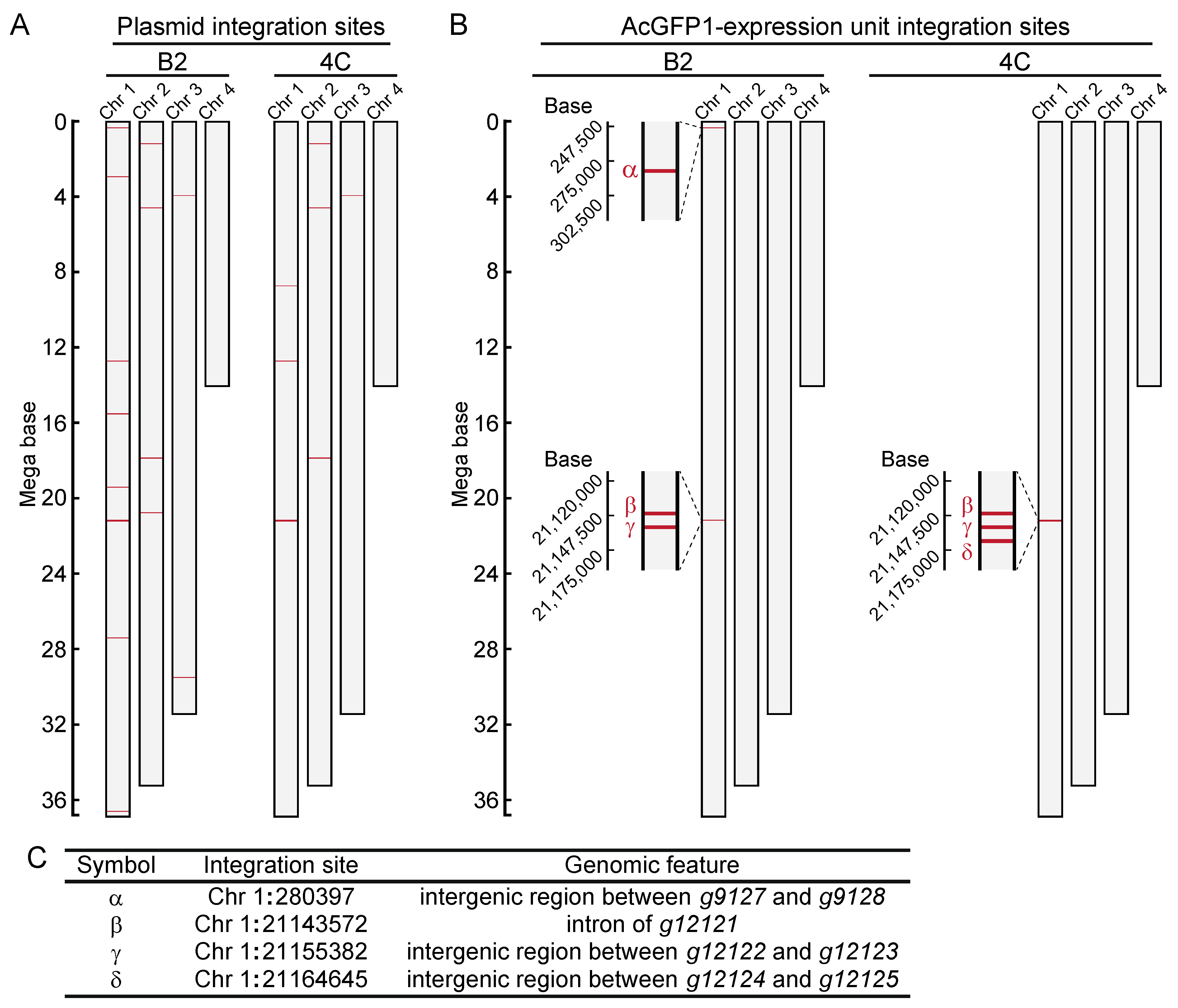 Genes 13 00406 g002