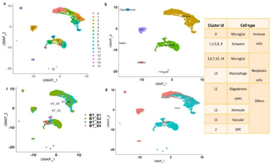 Genes 13 00428 g002 550