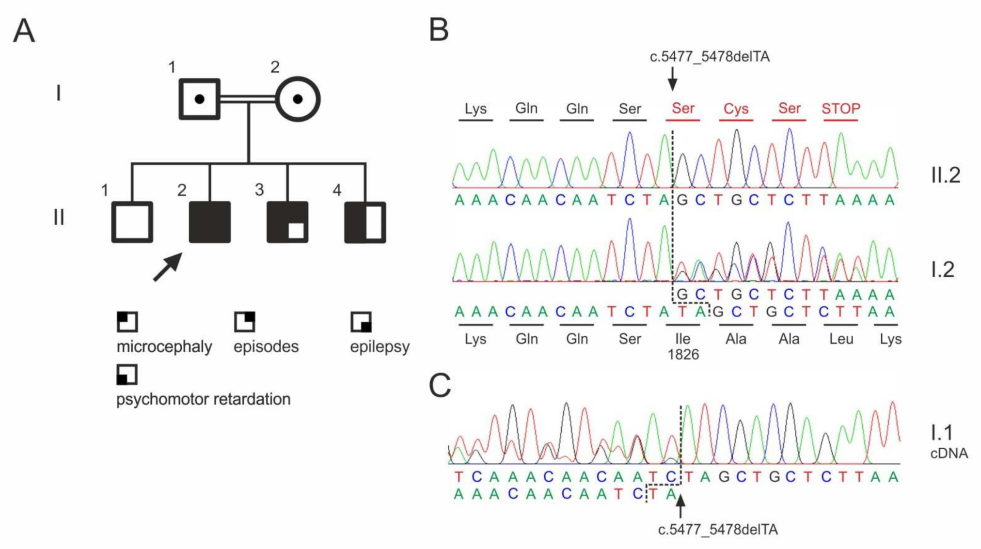 Genes 13 00429 g001