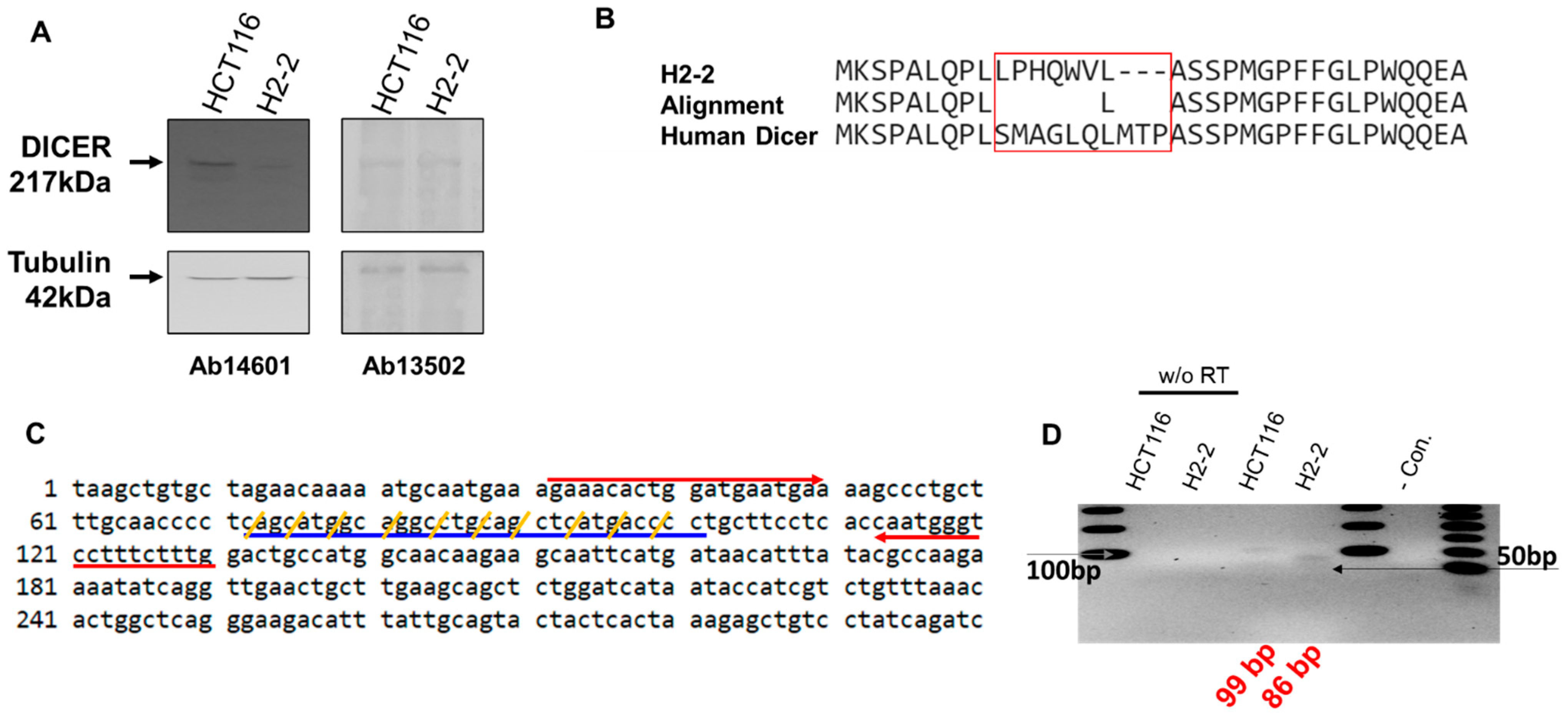 Genes 13 00436 g003
