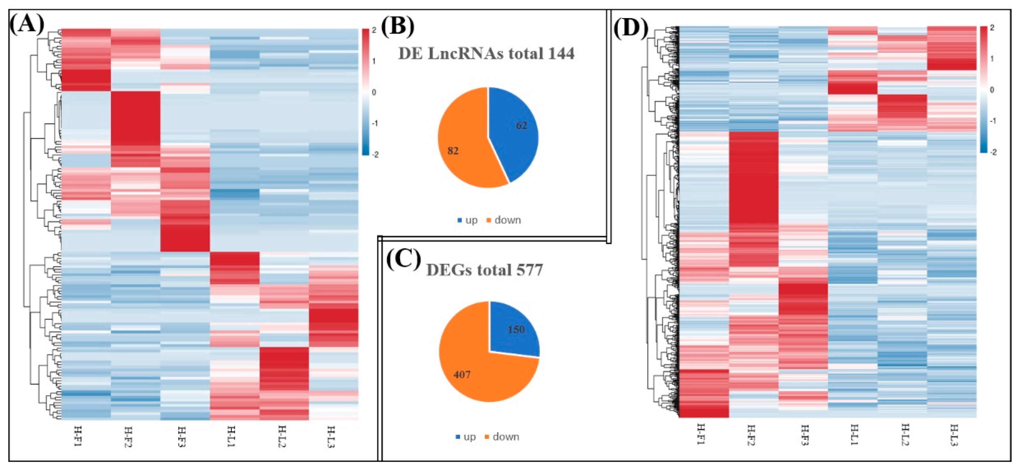 Genes 13 00440 g003