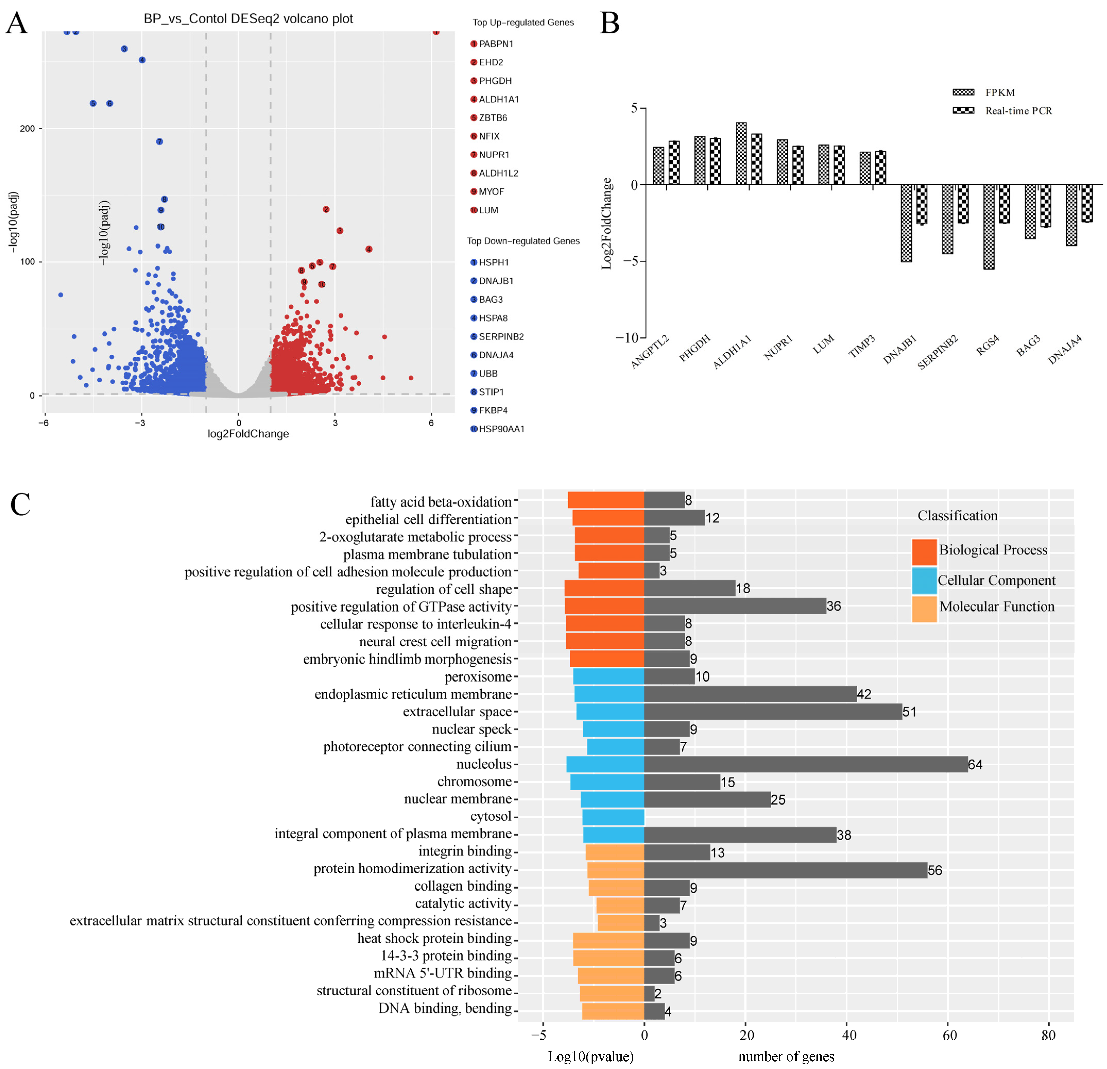 Genes 13 00445 g005a