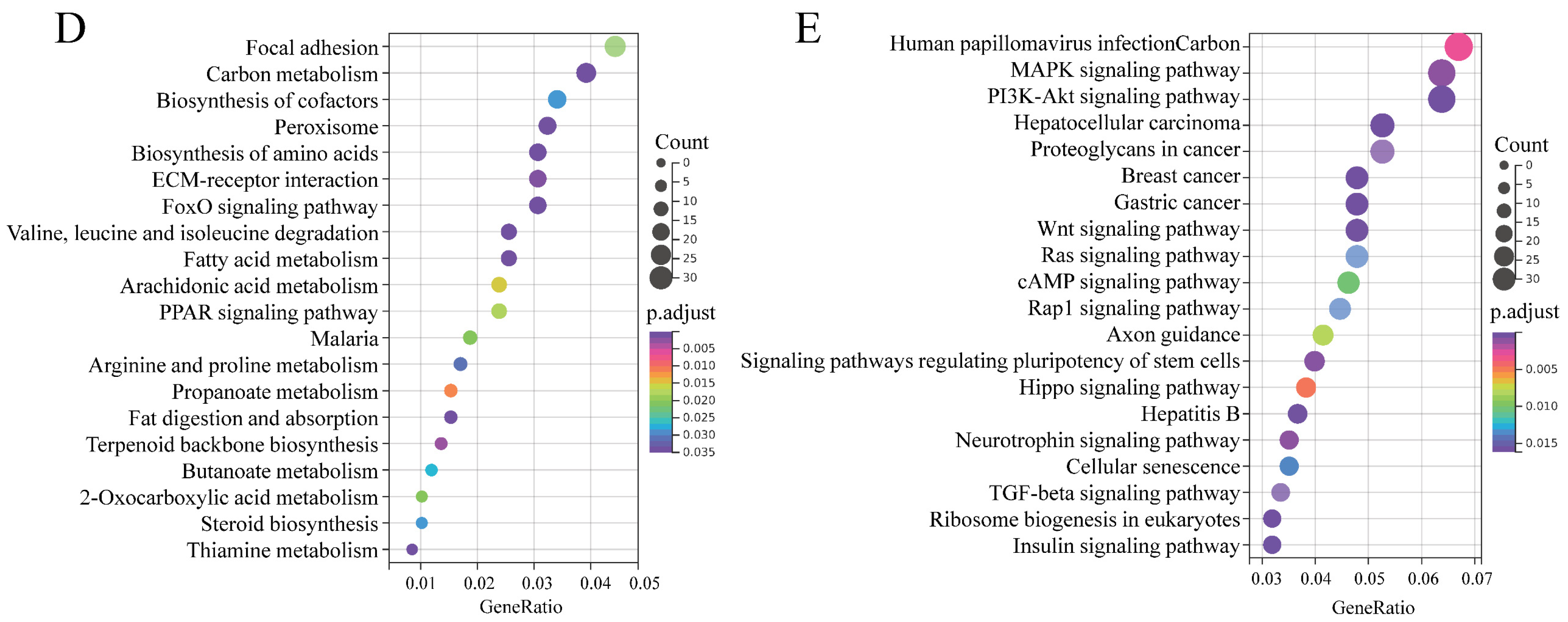 Genes 13 00445 g005b