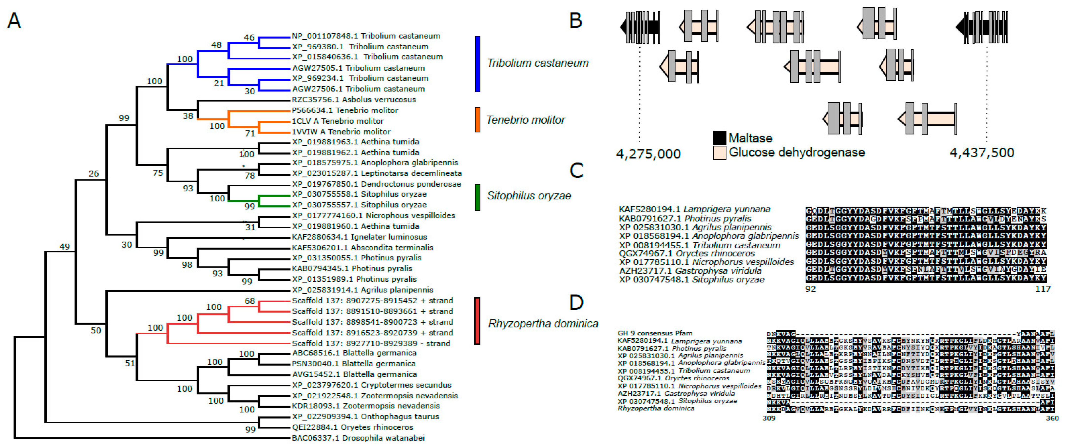 Genes 13 00446 g006