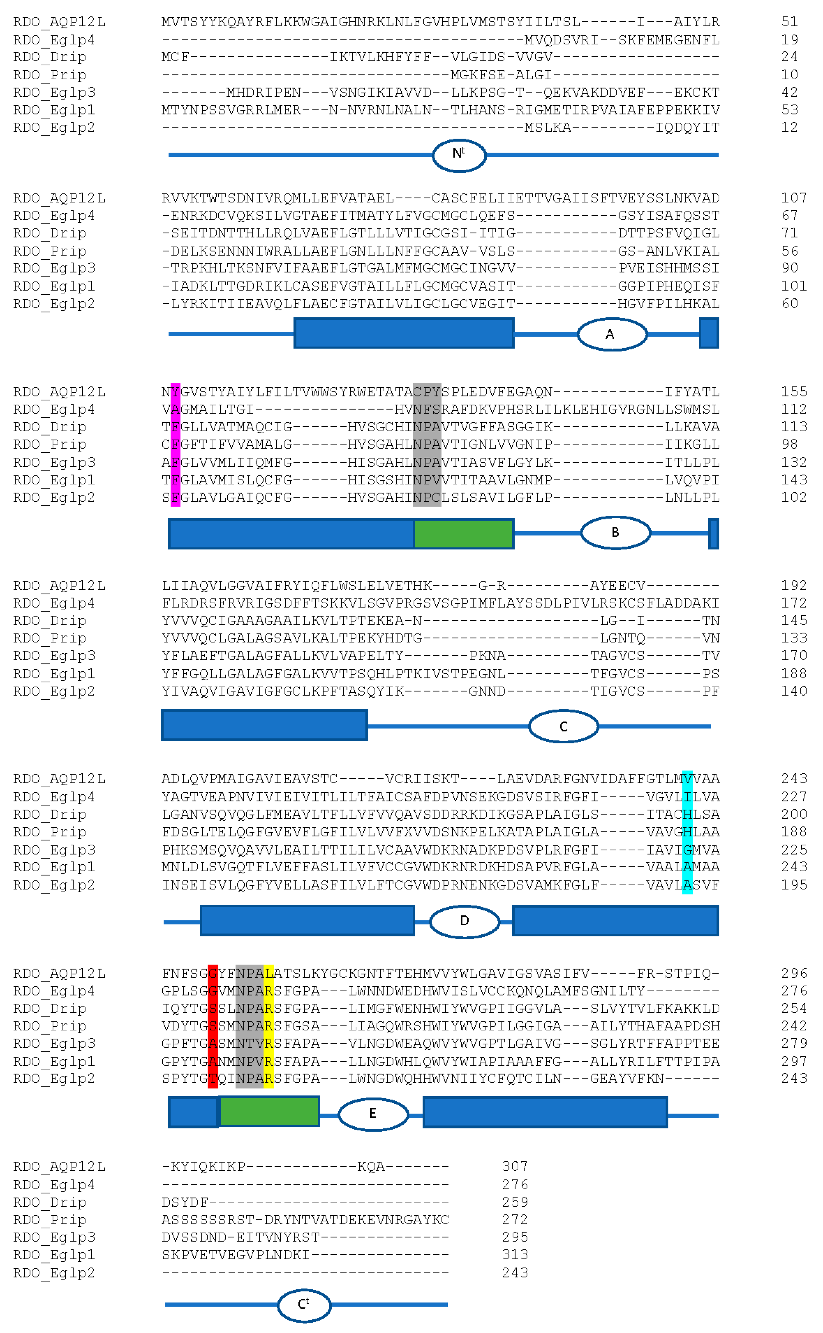 Genes 13 00446 g008