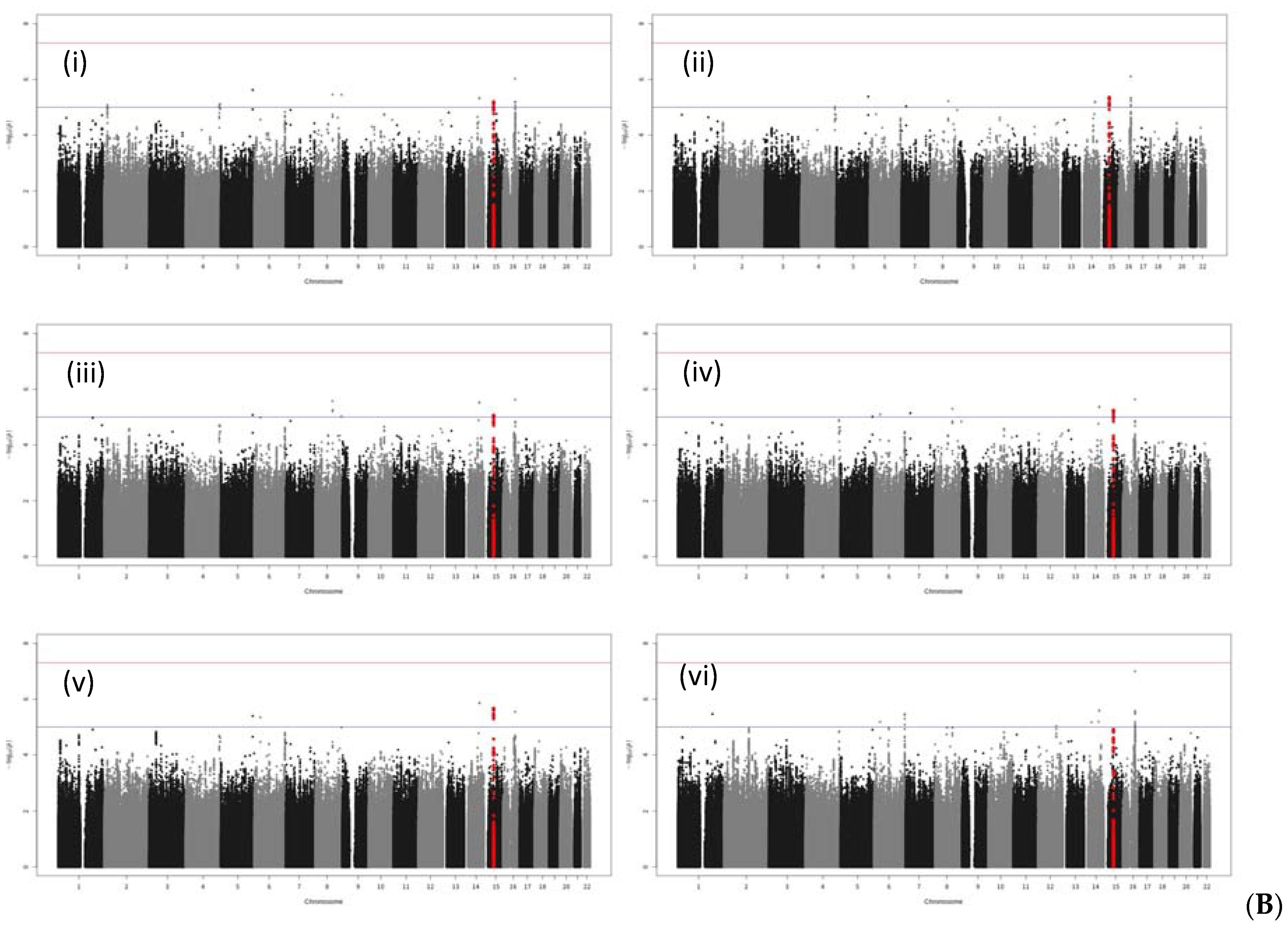 Genes 13 00448 g001b Genes 13 00448 g001b