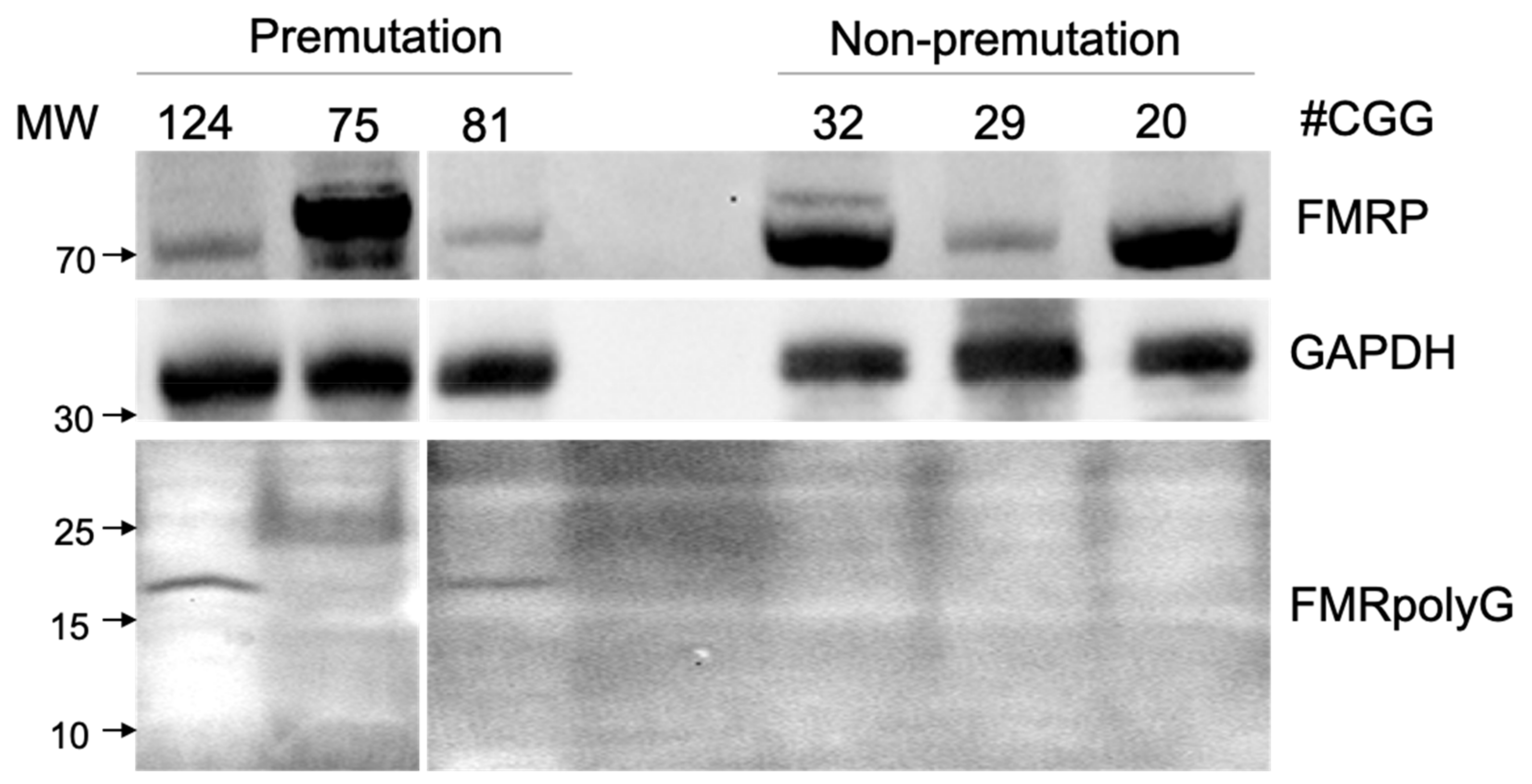 Genes 13 00451 g002 Genes 13 00451 g002