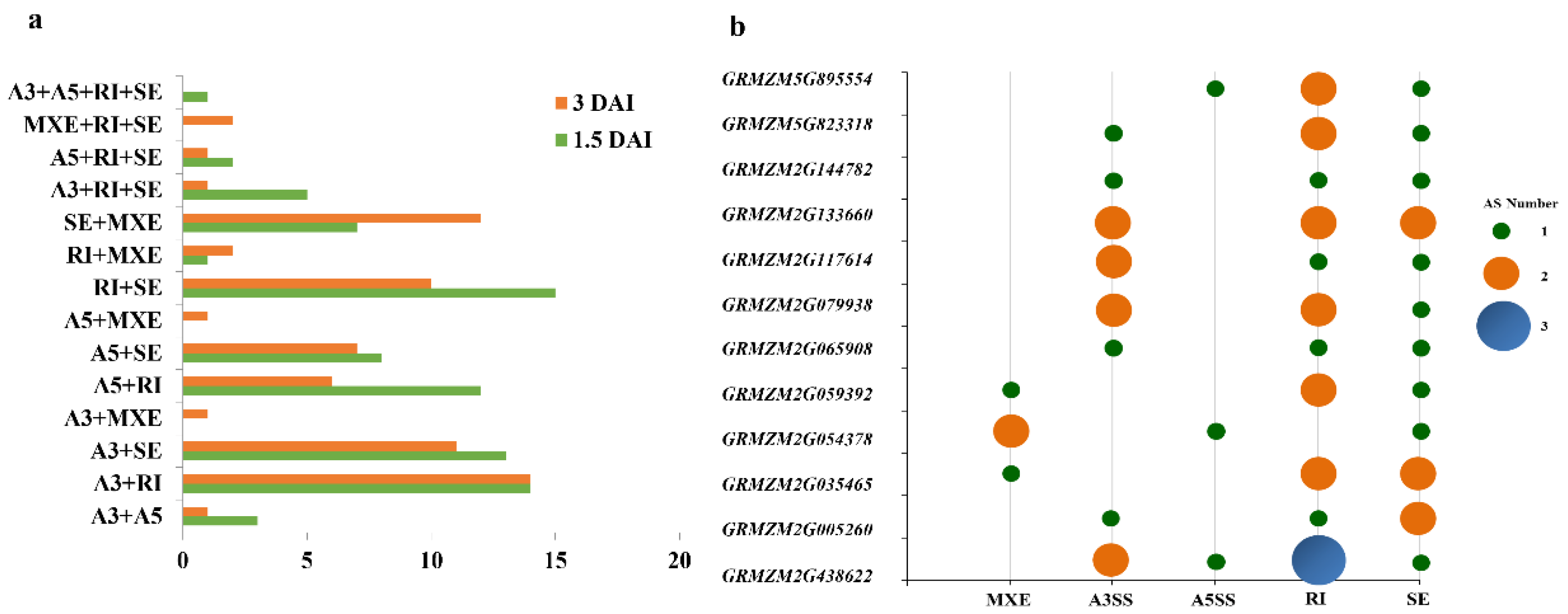 Genes 13 00456 g002