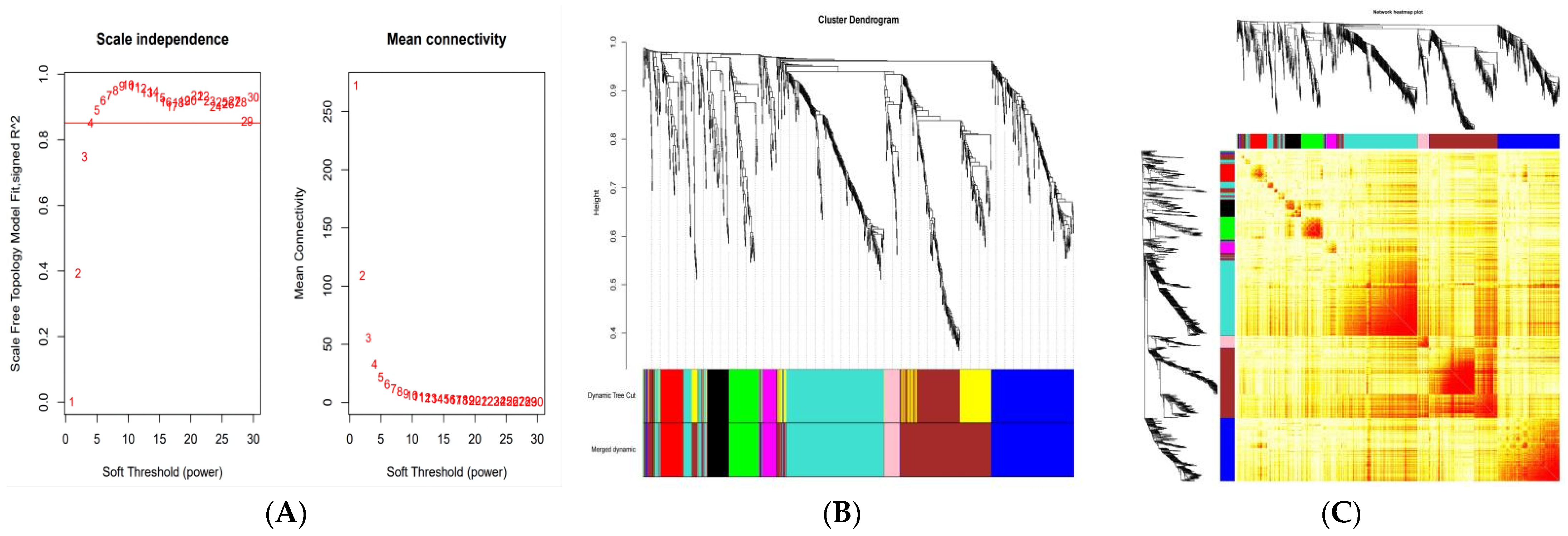 Genes 13 00464 g001