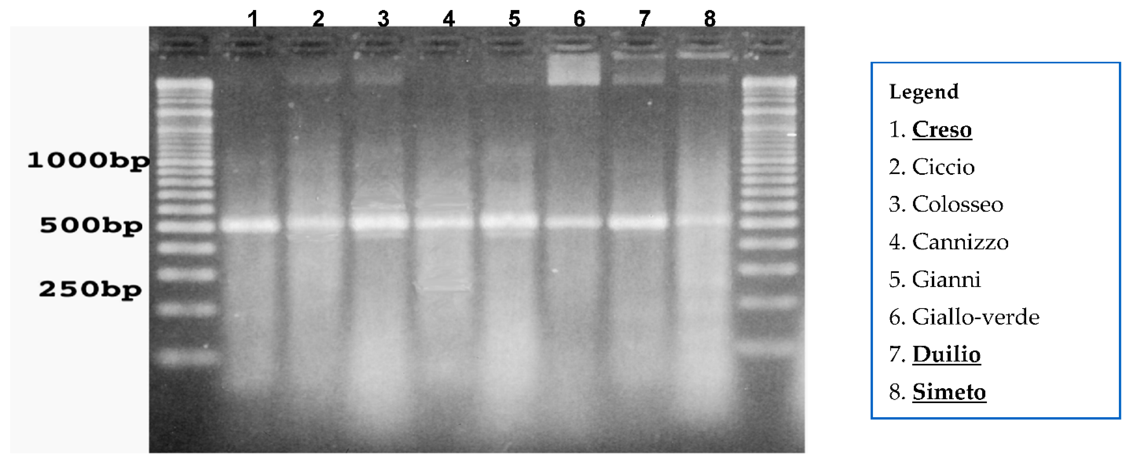 Genes 13 00488 g009